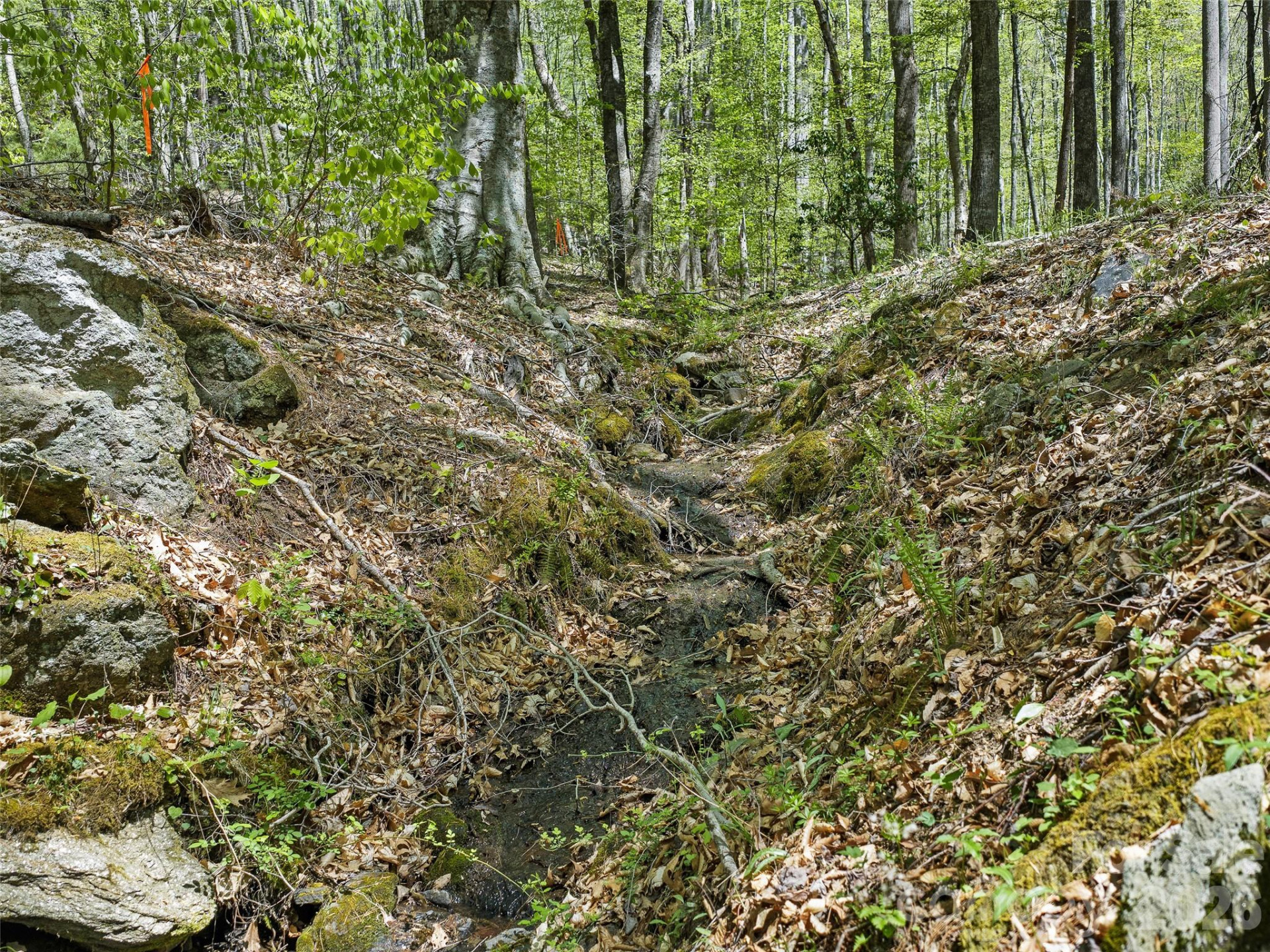 105 Satinwood Drive - Photo 6