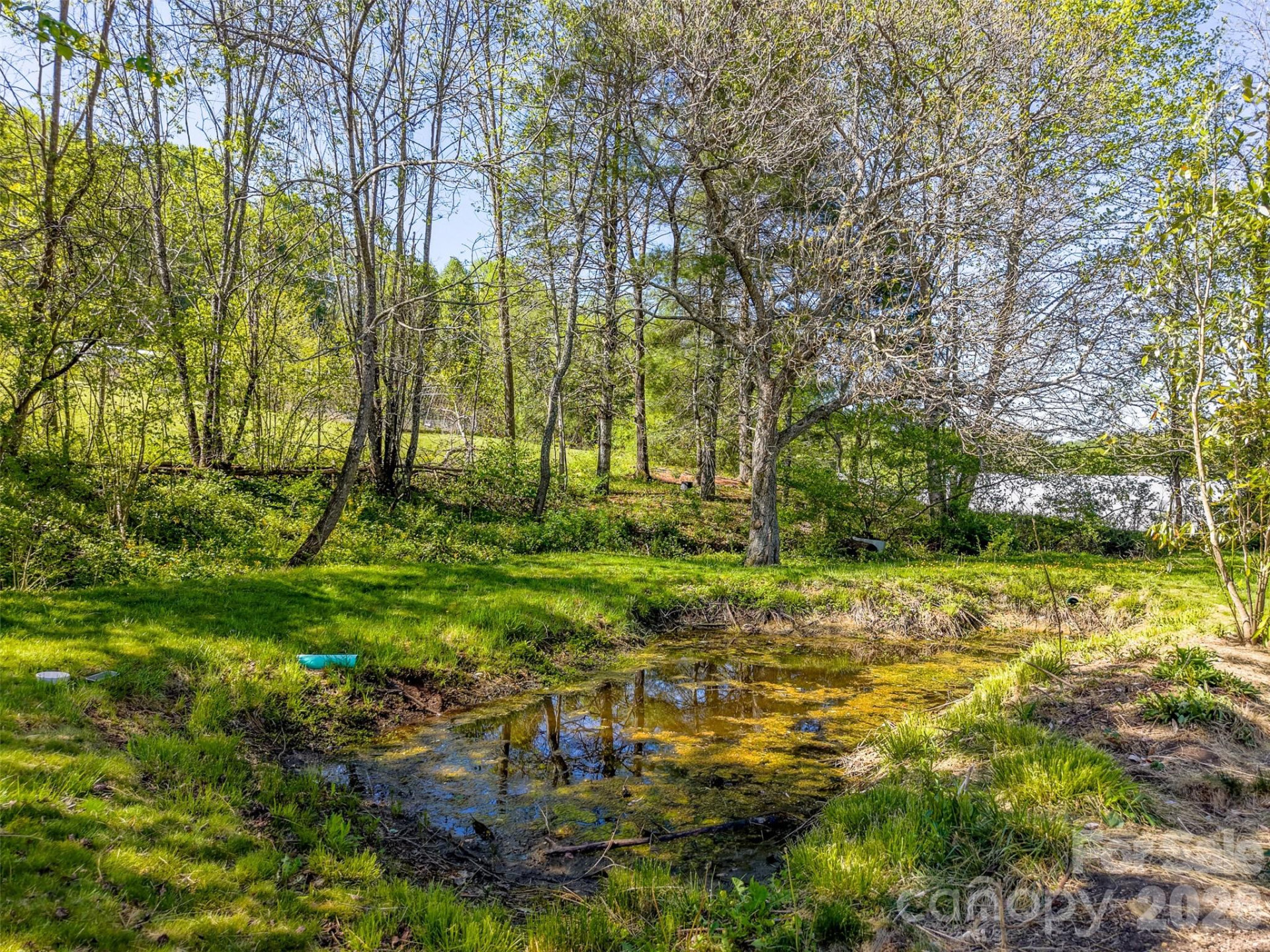 160 Canter Lane - Photo 37