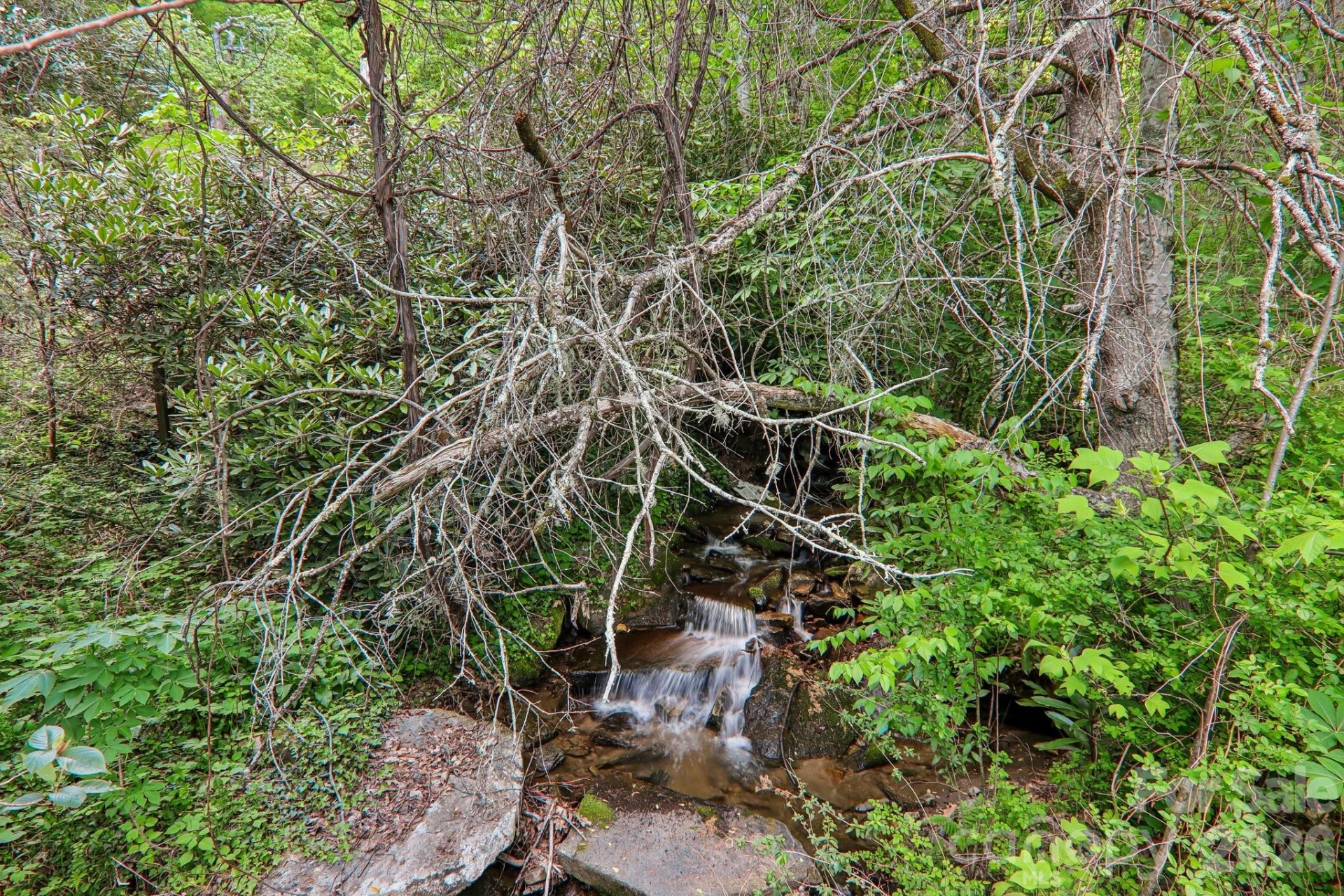 47 Lo Cove - Photo 33