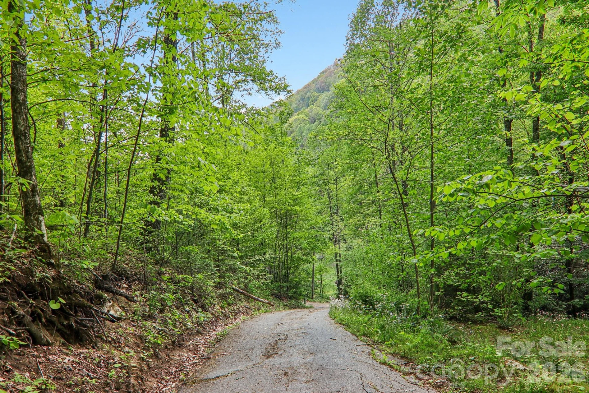 47 Lo Cove - Photo 34