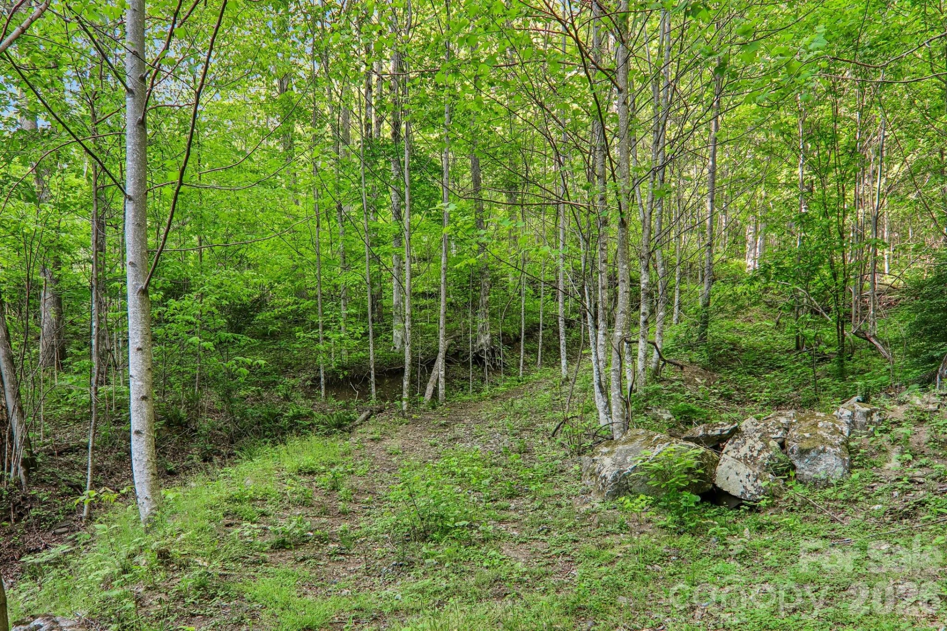 47 Lo Cove - Photo 35