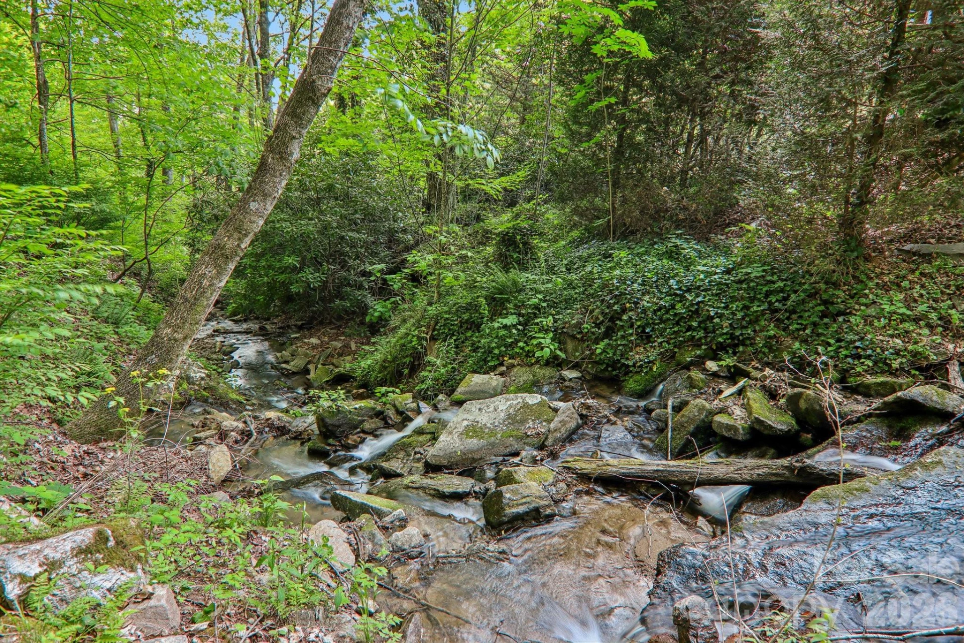 47 Lo Cove - Photo 40