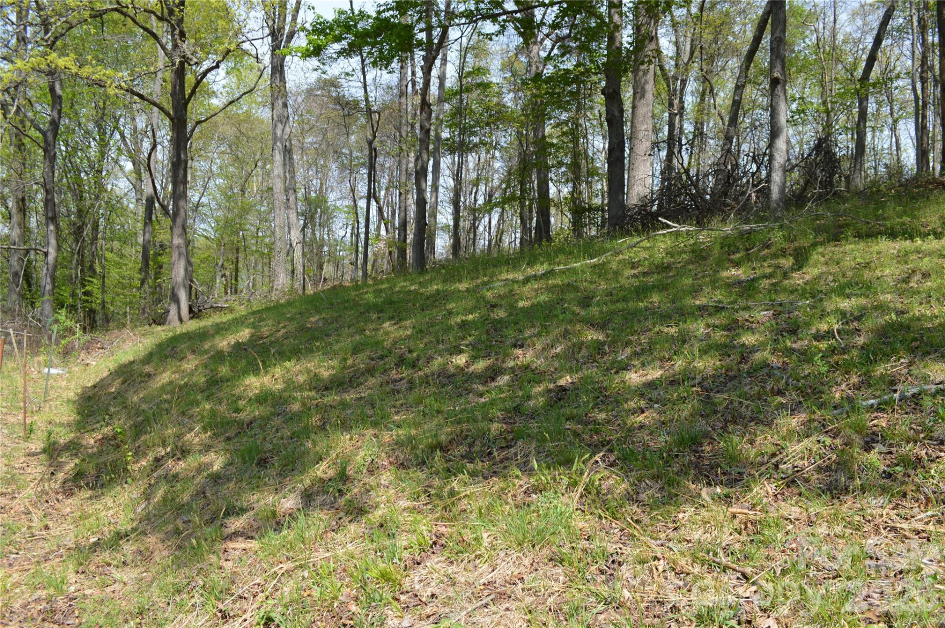 191 Flat Rock Hill Road - Photo 6