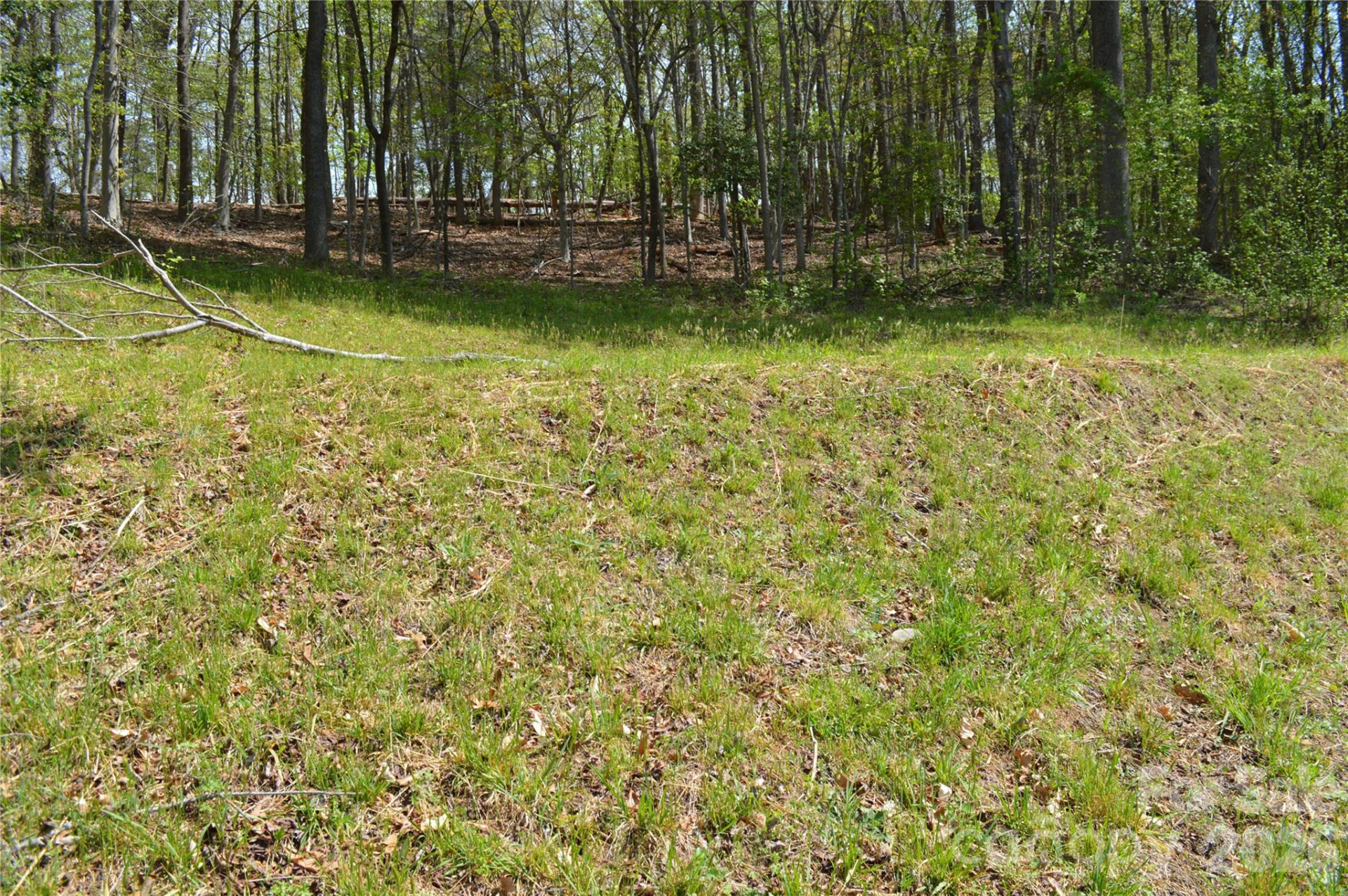 191 Flat Rock Hill Road - Photo 7