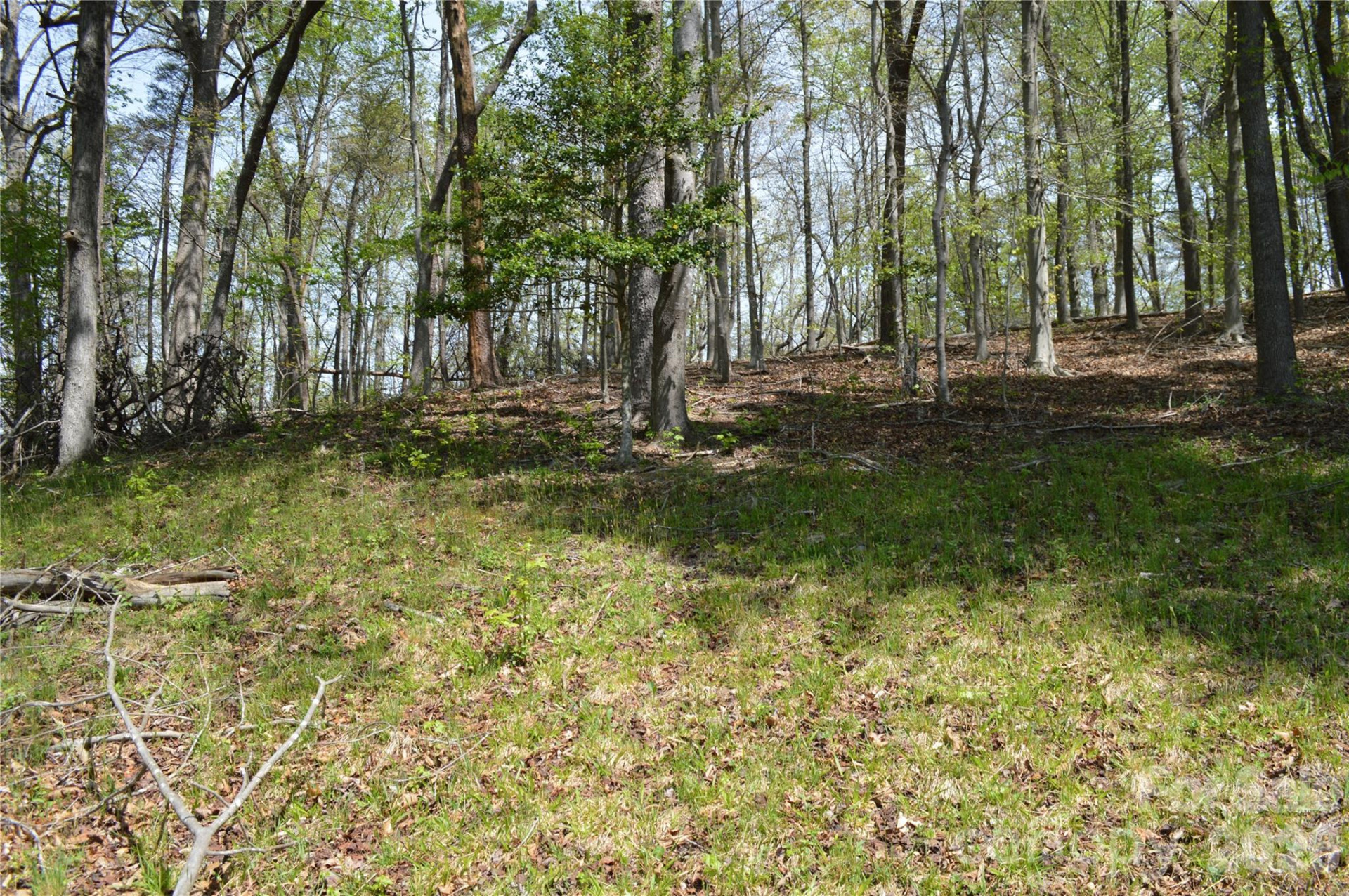 191 Flat Rock Hill Road - Photo 8