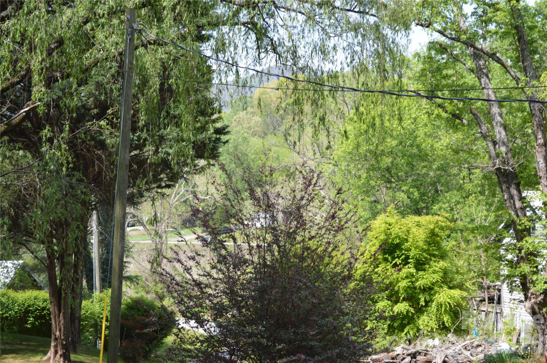 191 Flat Rock Hill Road - Photo 10