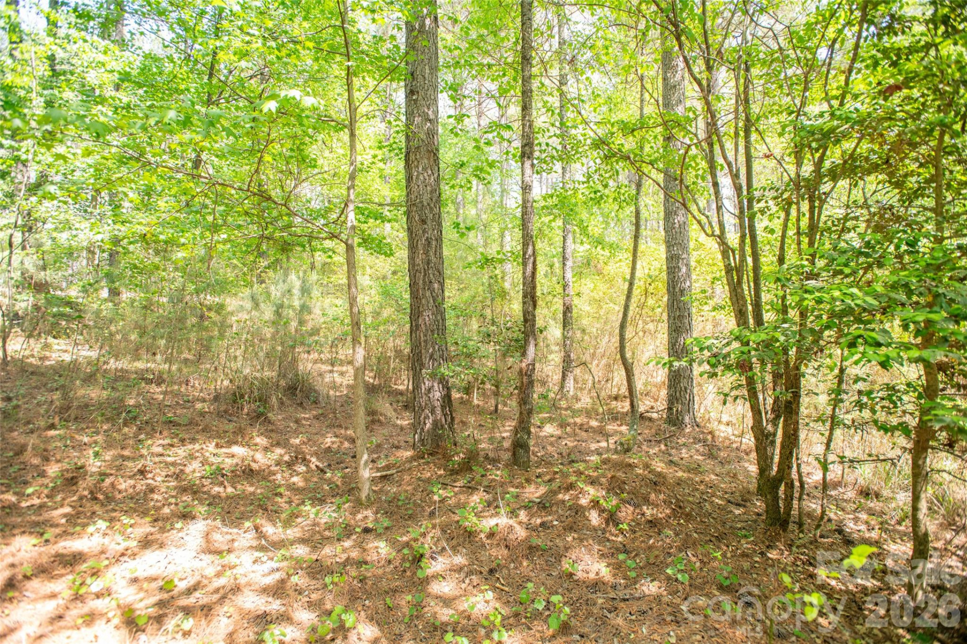 1518 Paradise Harbor Drive - Photo 17