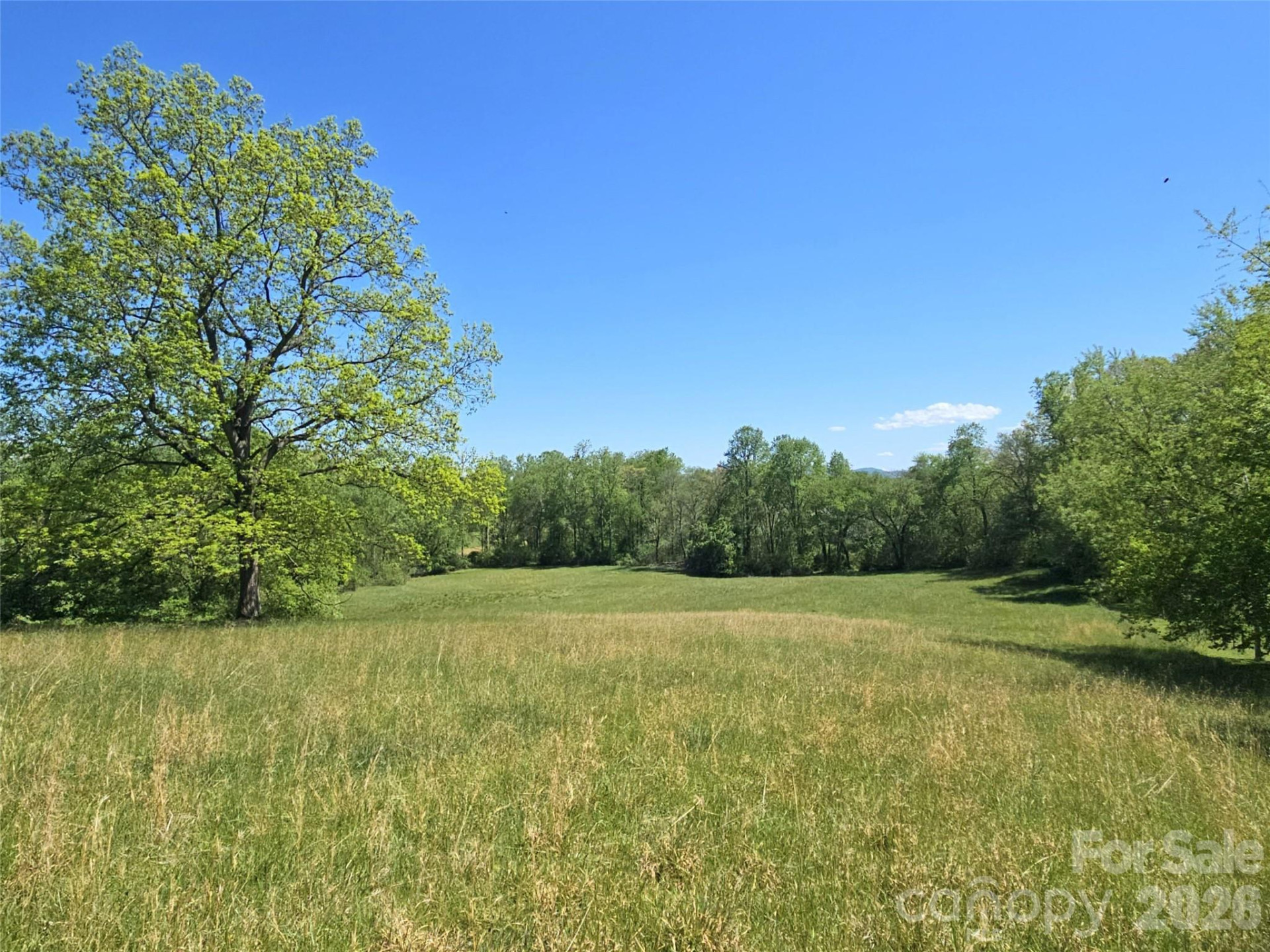 154 High Pasture Trail - Photo 30