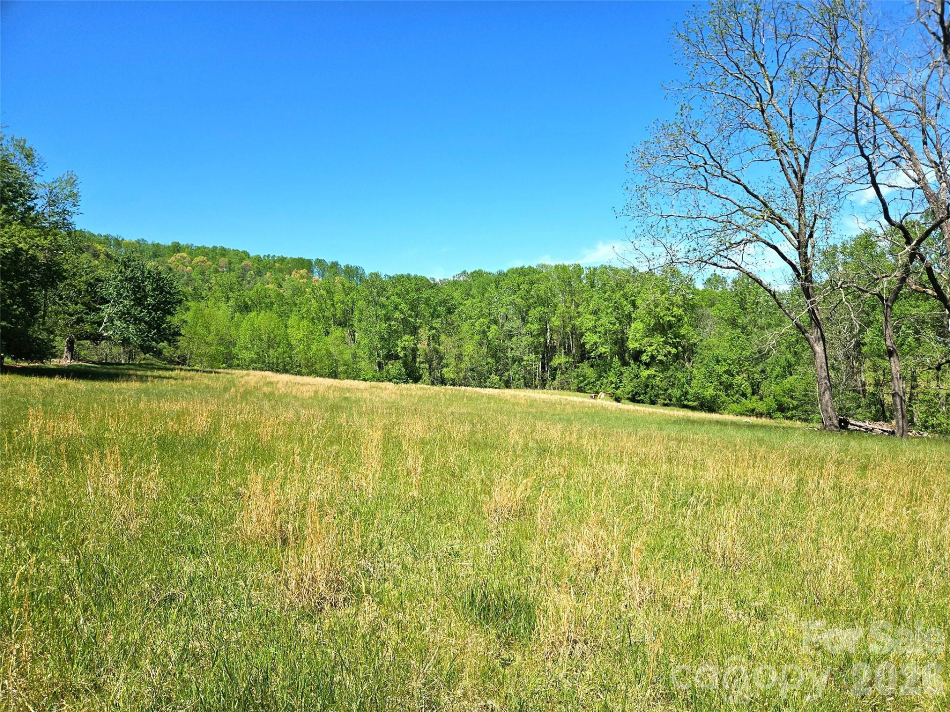 154 High Pasture Trail - Photo 41