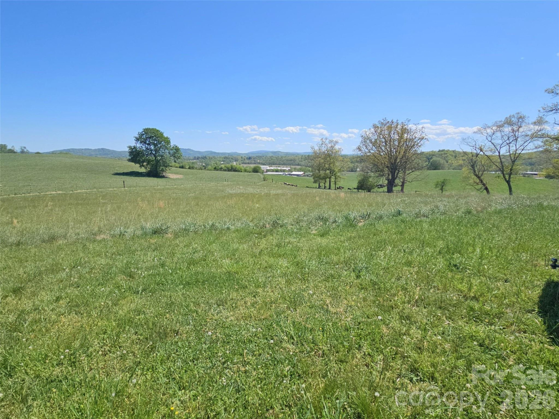 154 High Pasture Trail - Photo 8