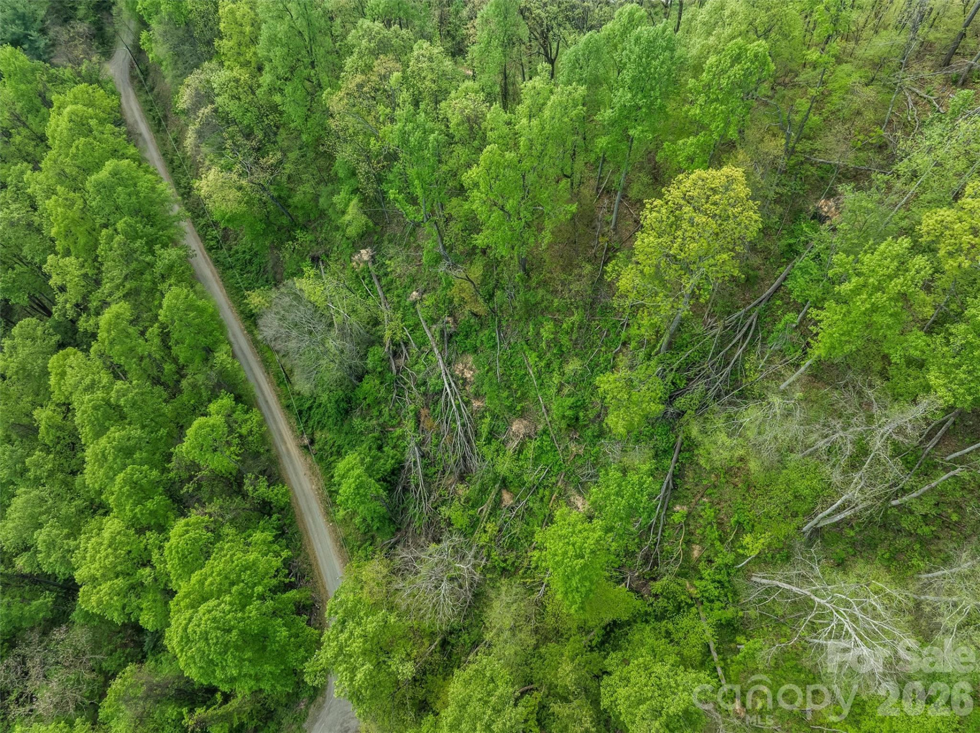 TBD Jacks Knob Road #49 - Photo 2