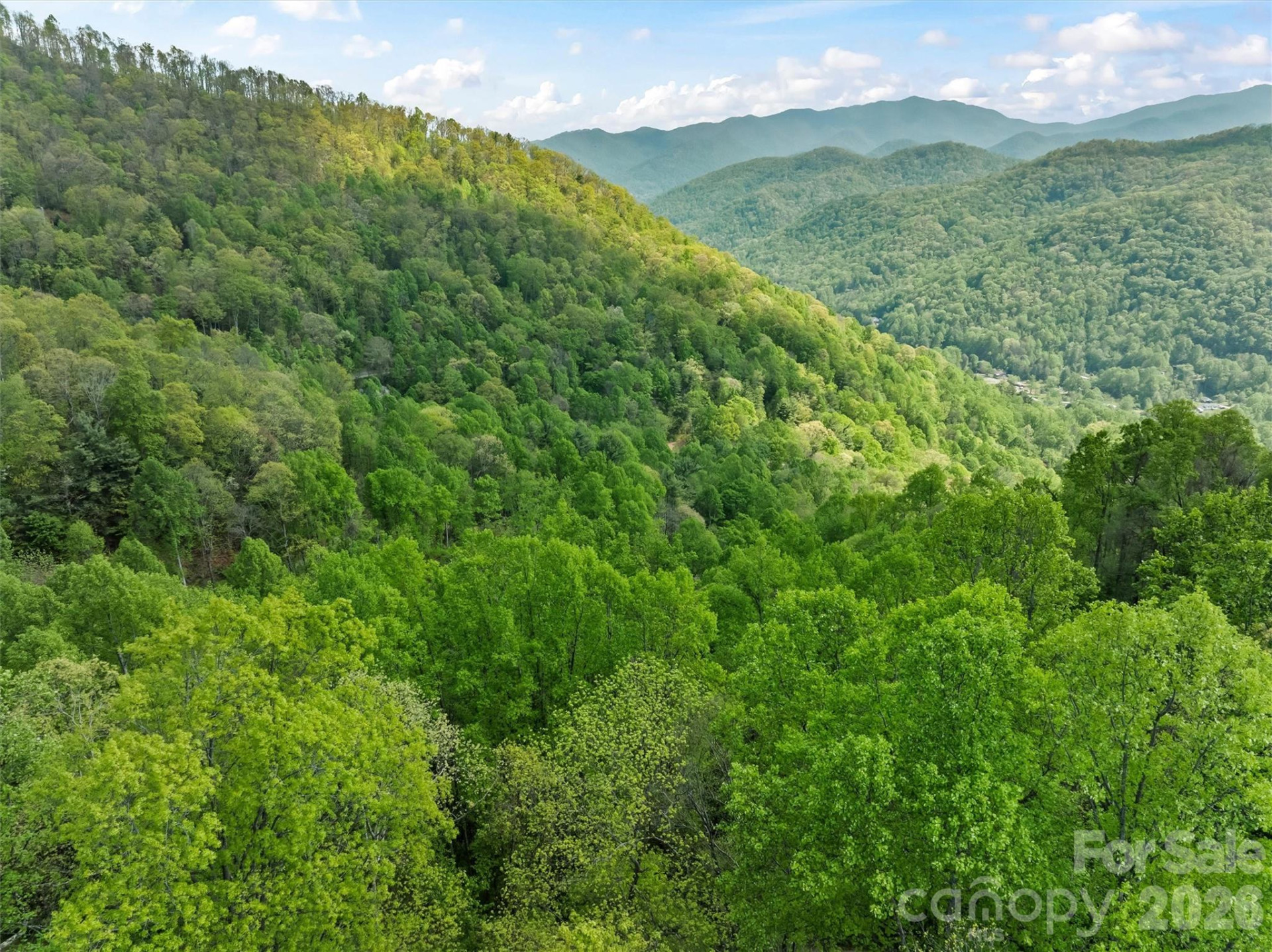 TBD Jacks Knob Road #49 - Photo 11