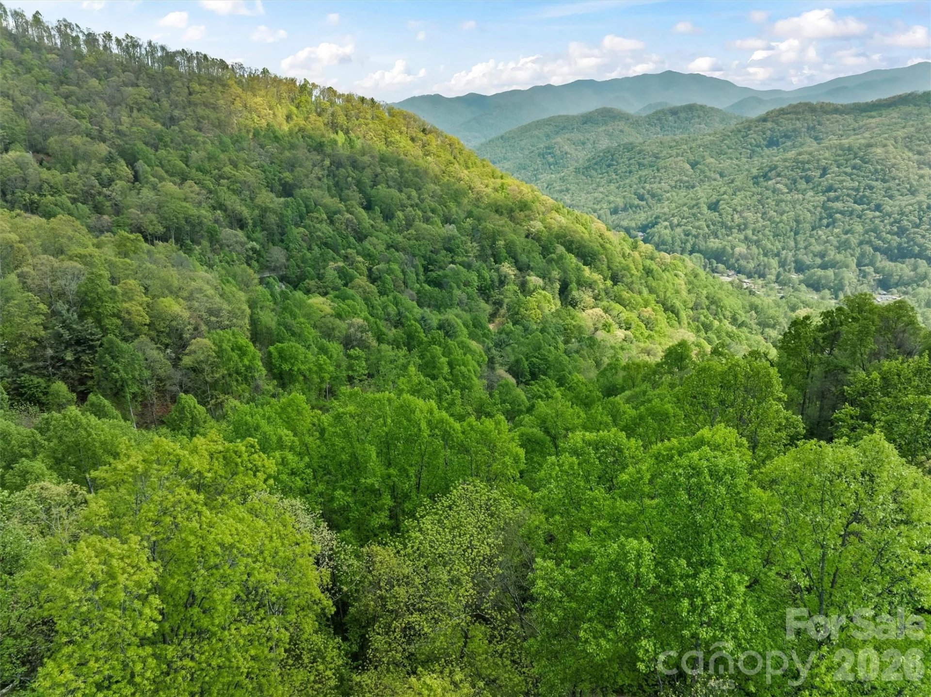 TBD Jacks Knob Road #49 - Photo 11