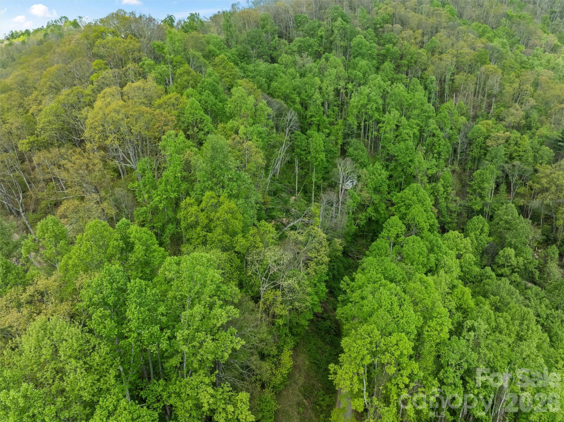 TBD Jacks Knob Road #49 - Photo 12