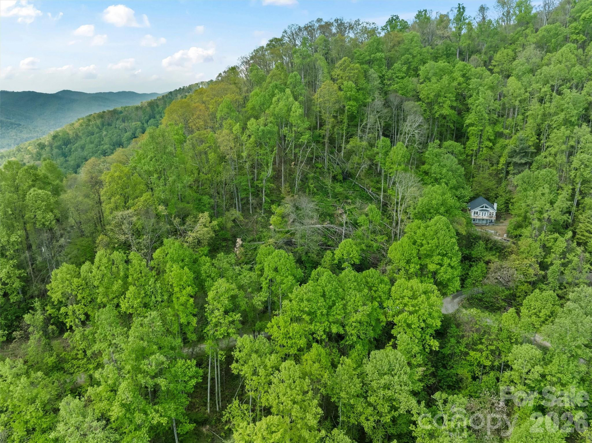 TBD Jacks Knob Road #49 - Photo 13