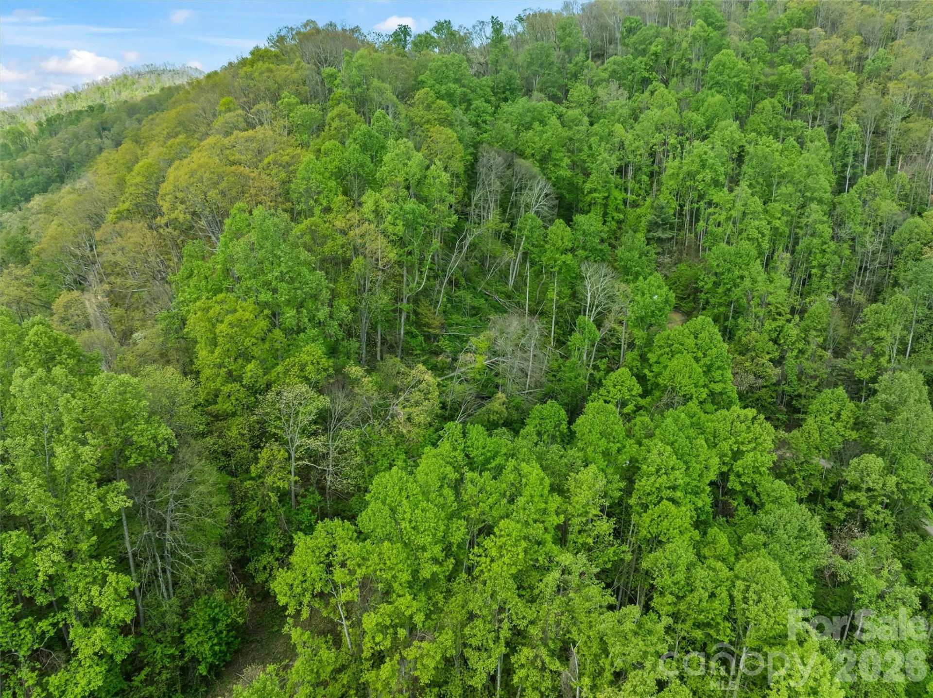 TBD Jacks Knob Road #49 - Photo 14