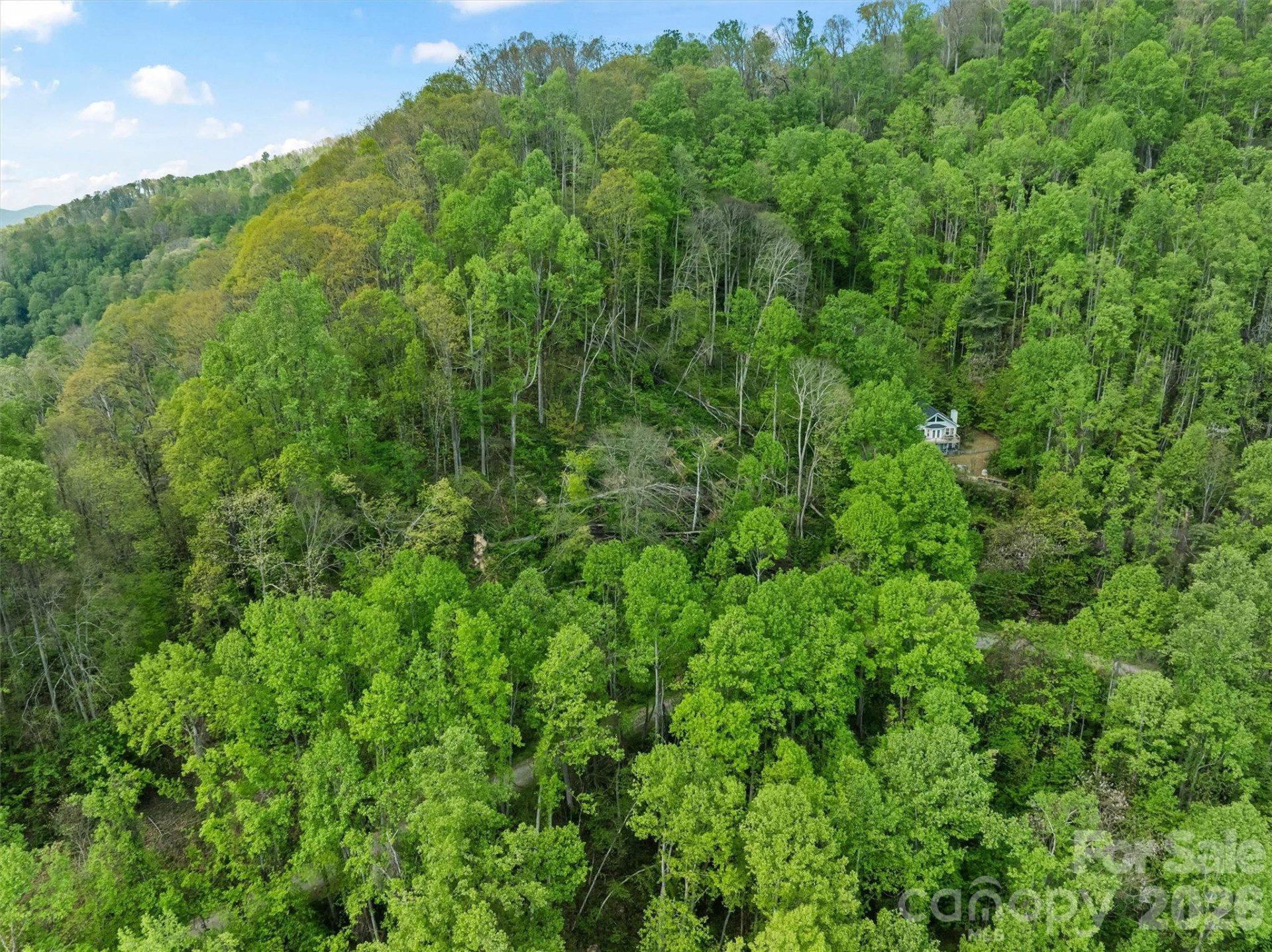 TBD Jacks Knob Road #49 - Photo 15