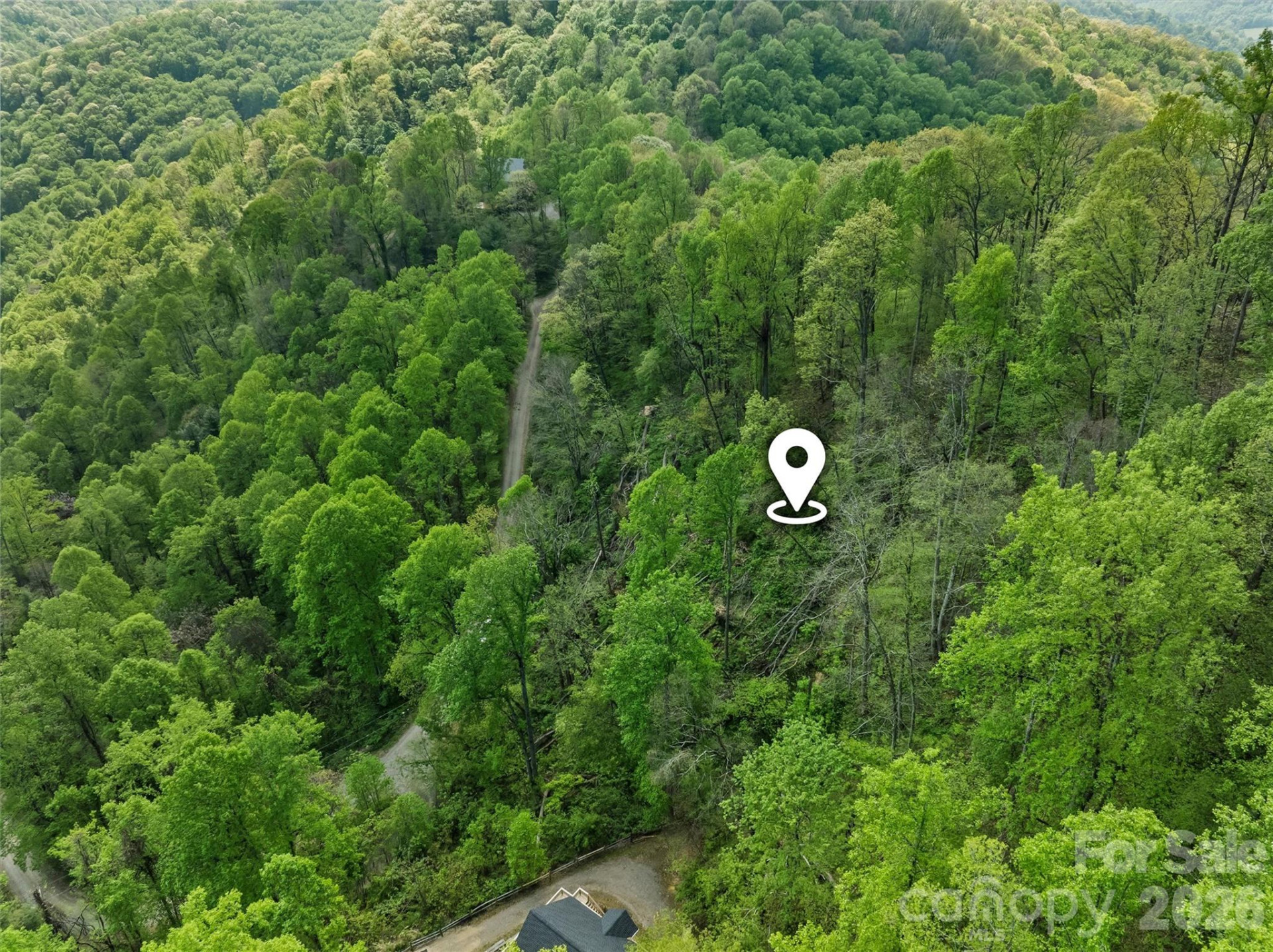 TBD Jacks Knob Road #49 - Photo 3