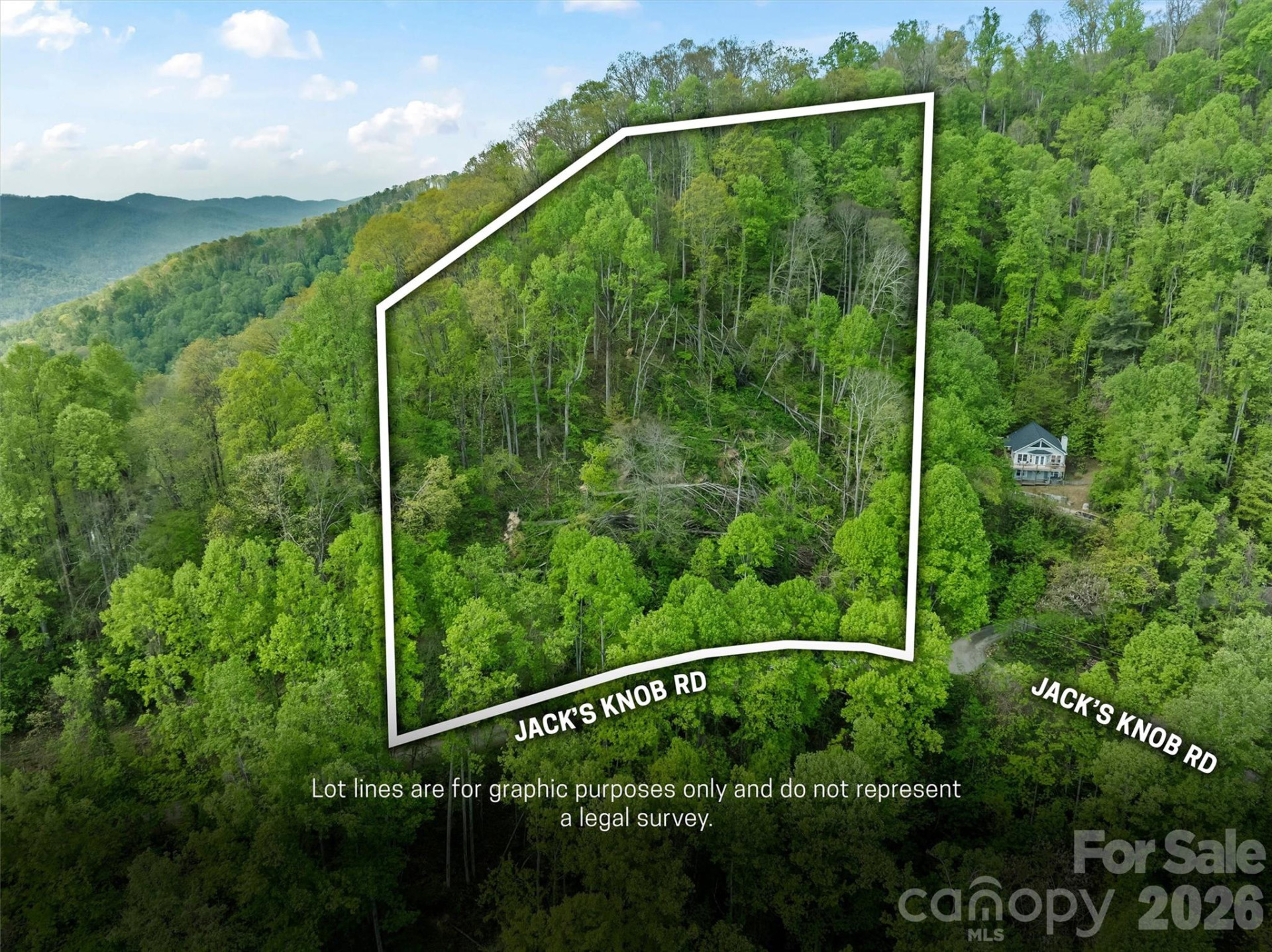 TBD Jacks Knob Road #49 - Photo 4