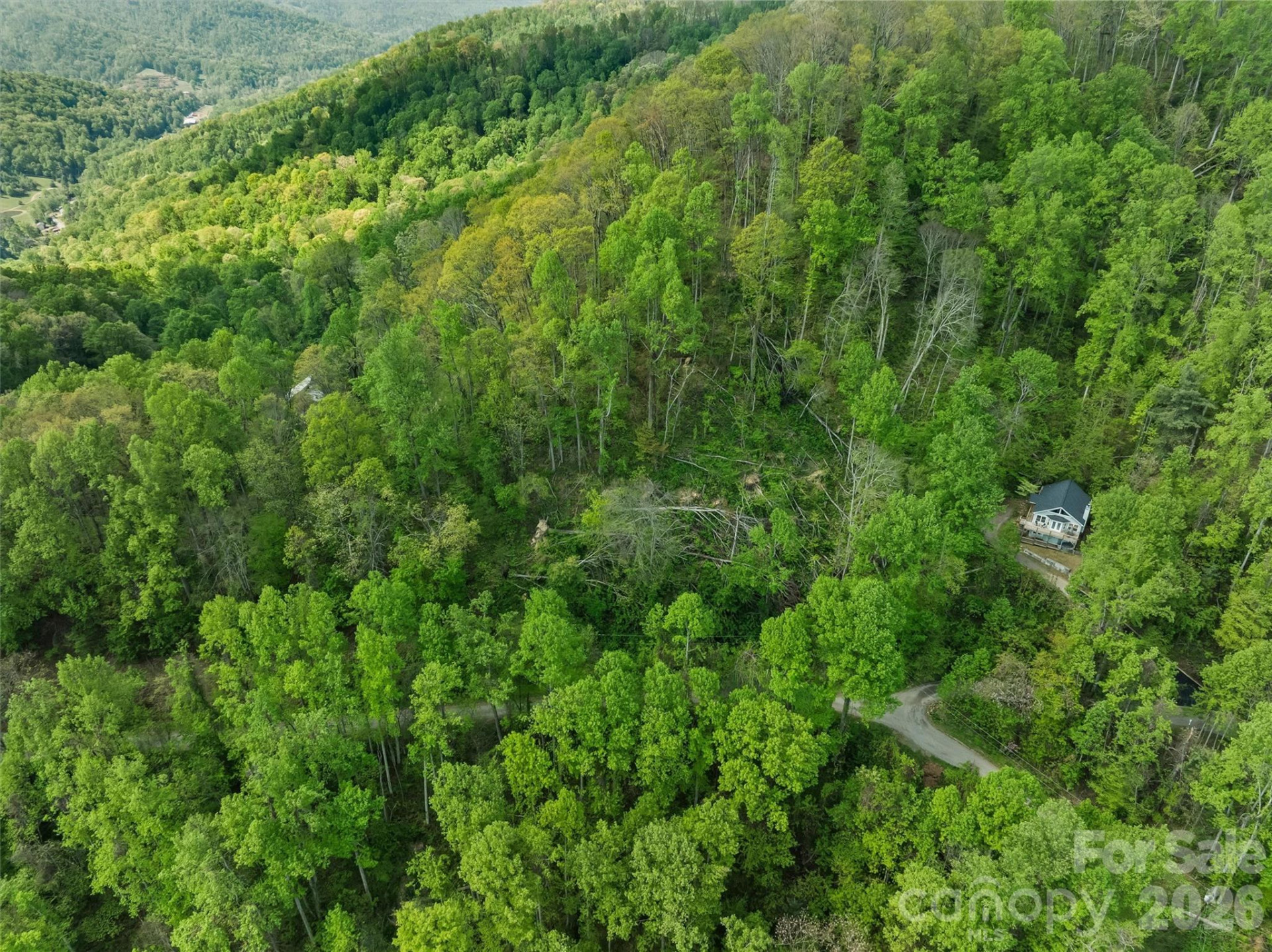 TBD Jacks Knob Road #49 - Photo 5