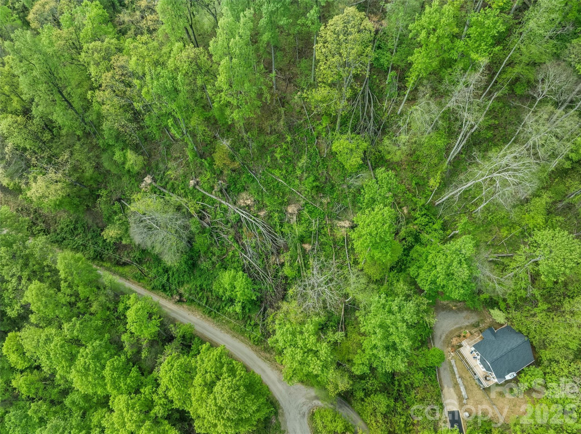 TBD Jacks Knob Road #49 - Photo 6