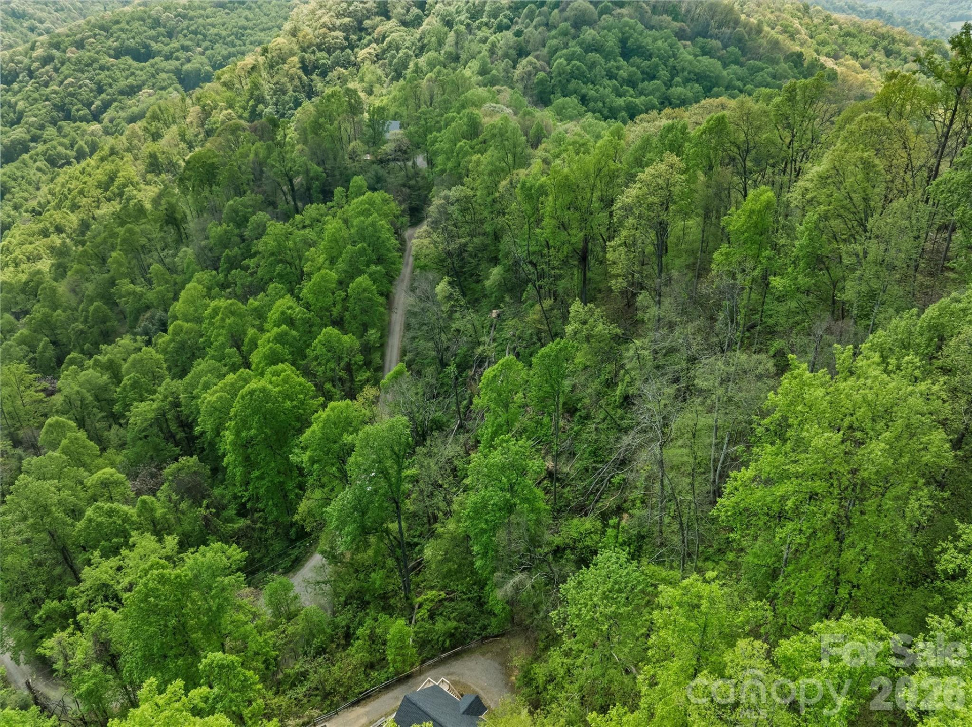 TBD Jacks Knob Road #49 - Photo 7