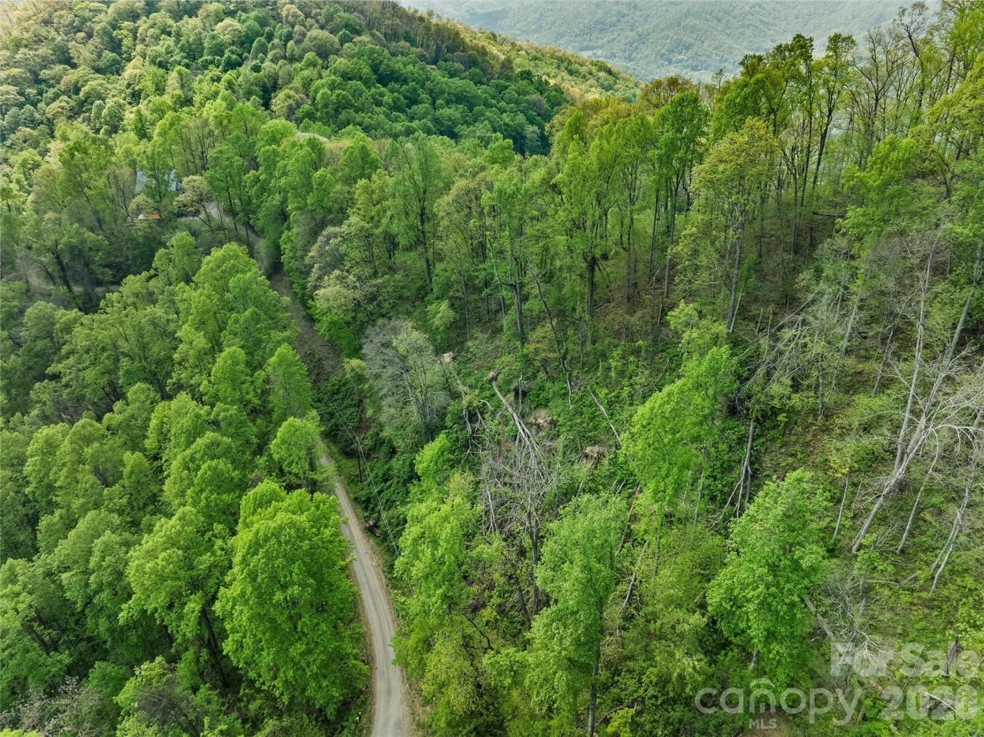 TBD Jacks Knob Road #49 - Photo 8