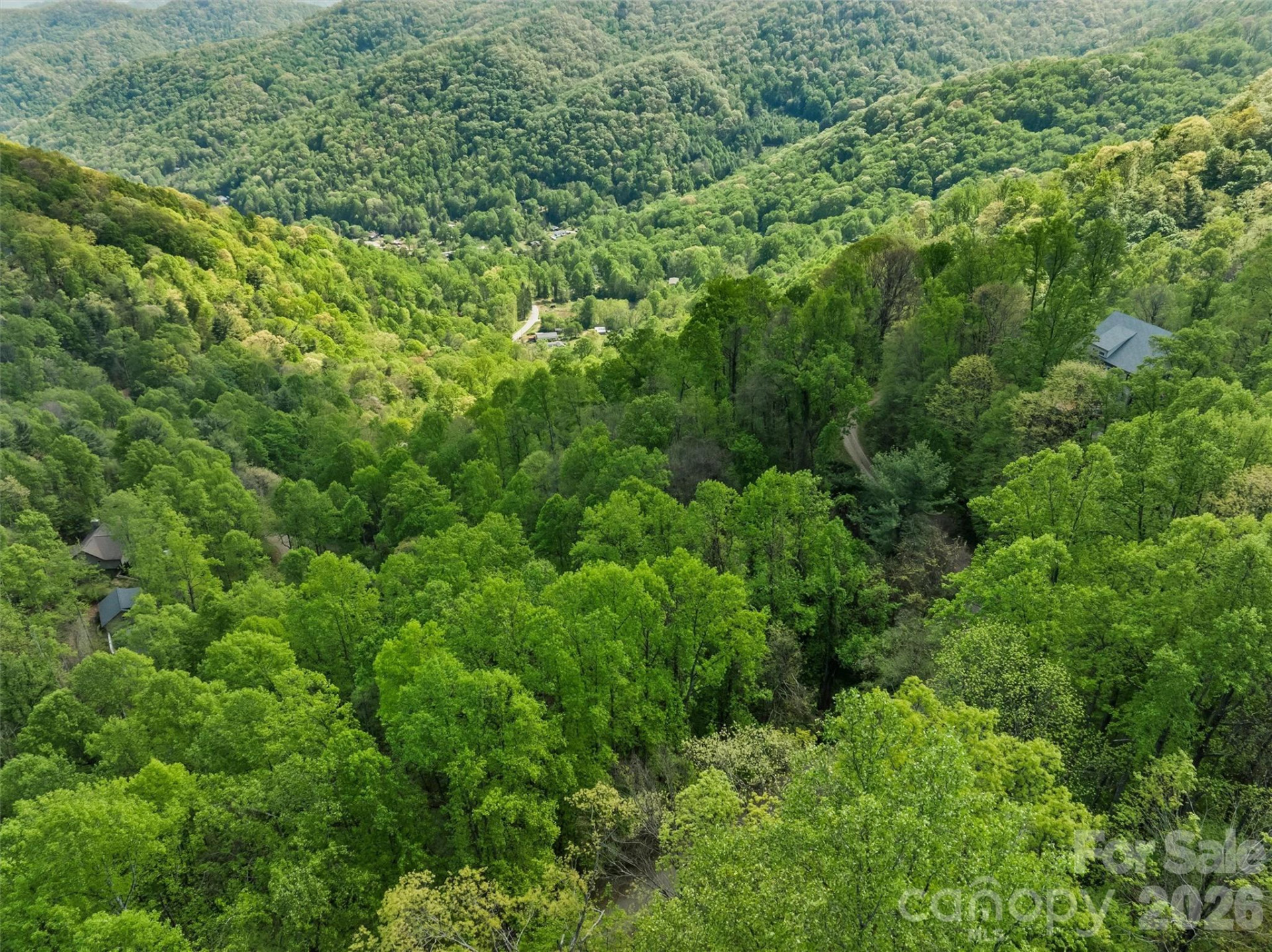 TBD Jacks Knob Road #49 - Photo 9