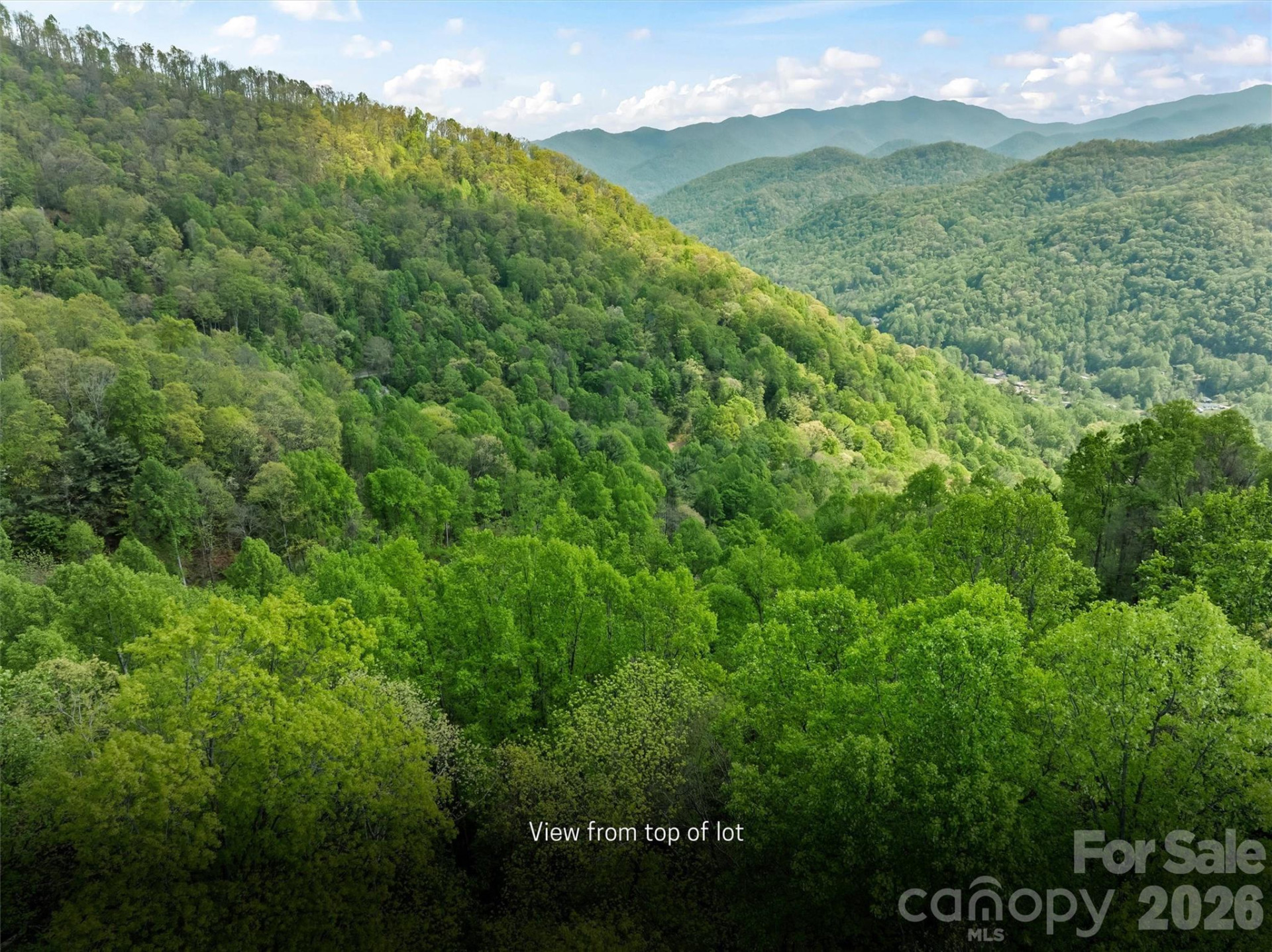 TBD Jacks Knob Road #49 - Photo 10