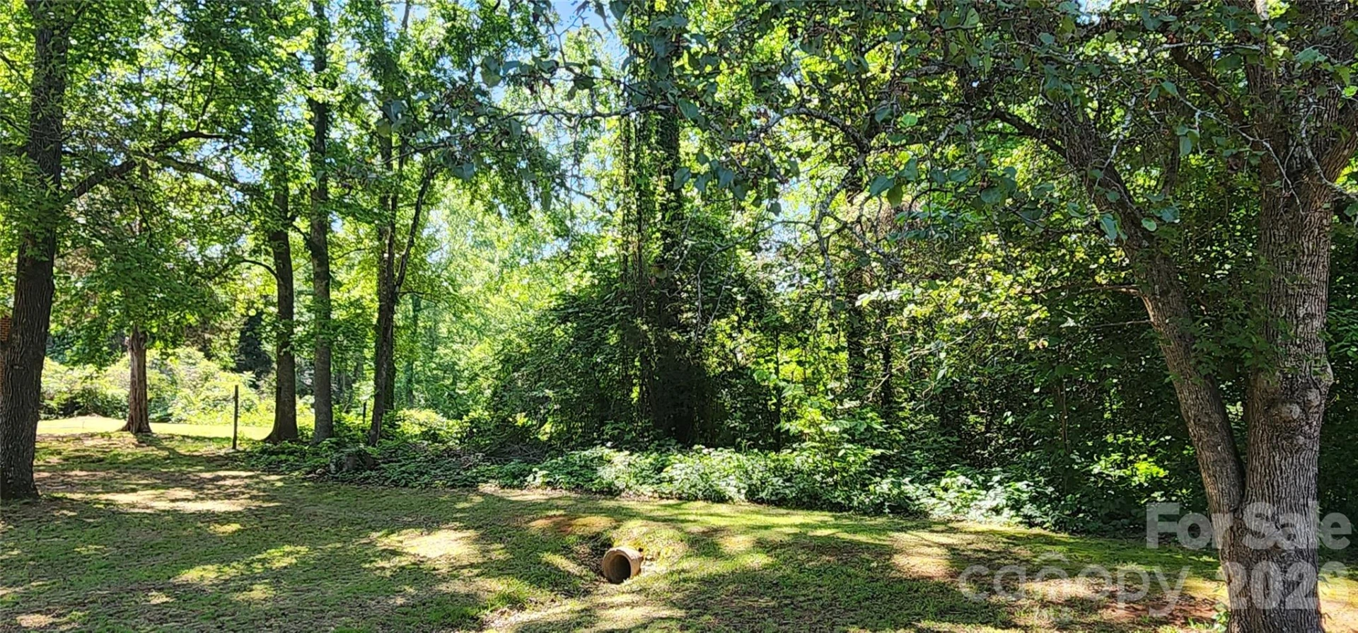 3675 Howell Road - Photo 8