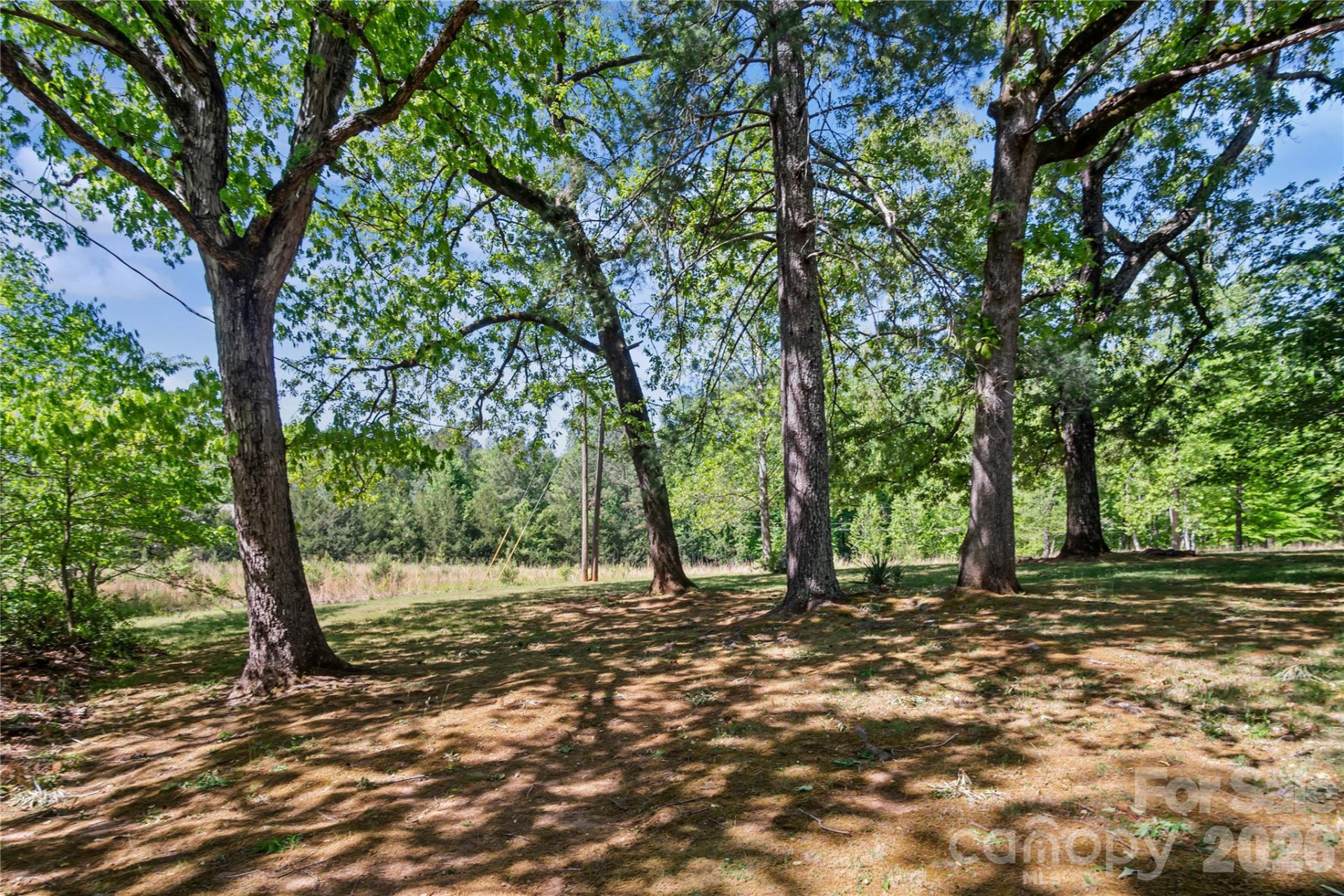 283 Constant Lane - Photo 14