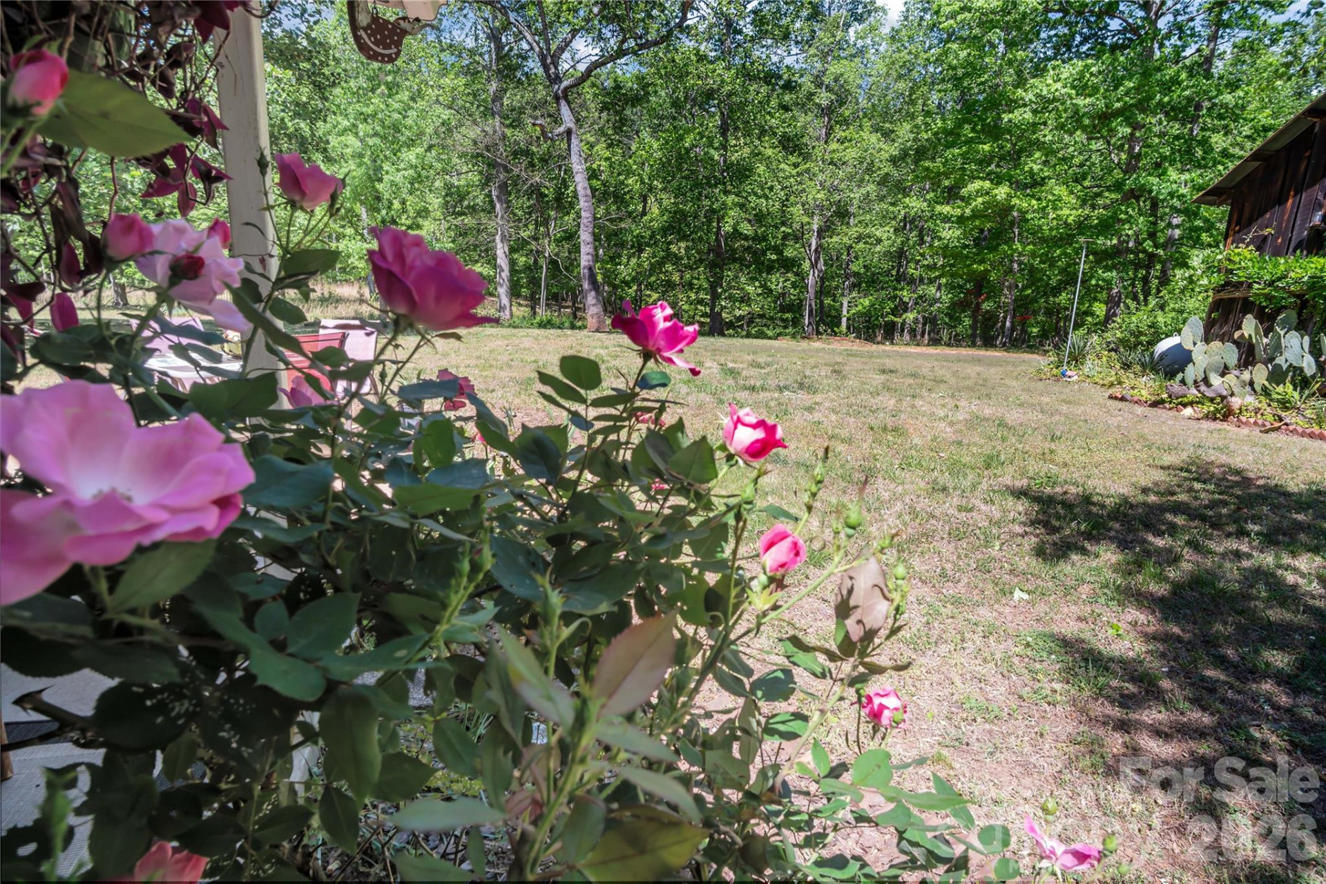 283 Constant Lane - Photo 22