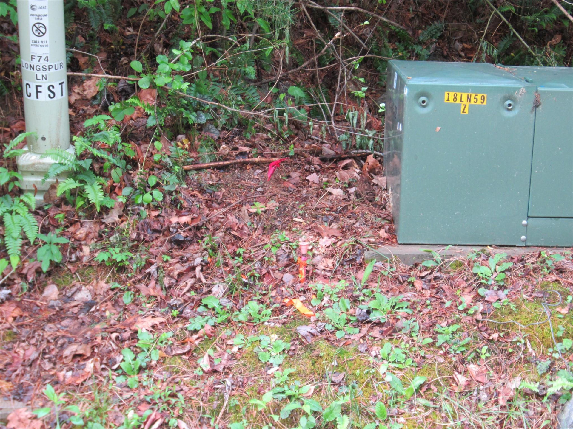 64 Longspur Lane - Photo 11