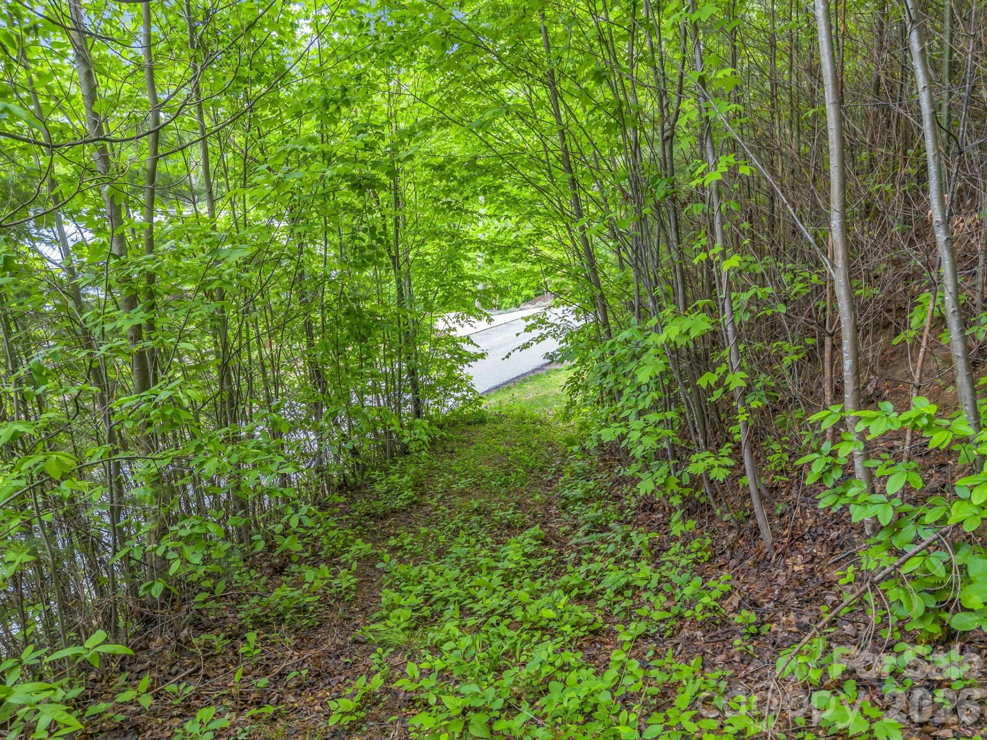 64 Longspur Lane - Photo 9