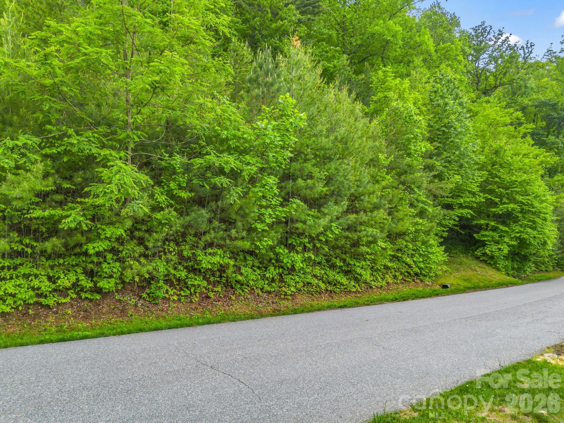 64 Longspur Lane - Photo 11