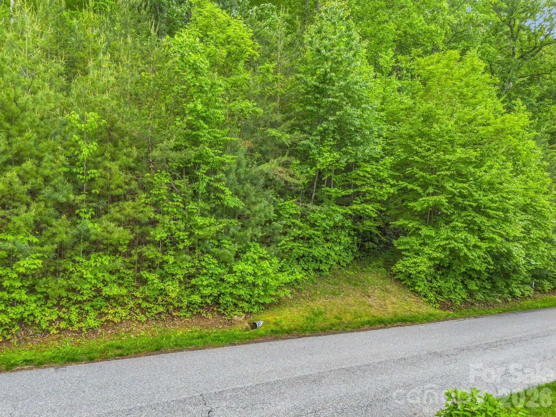 64 Longspur Lane - Photo 13