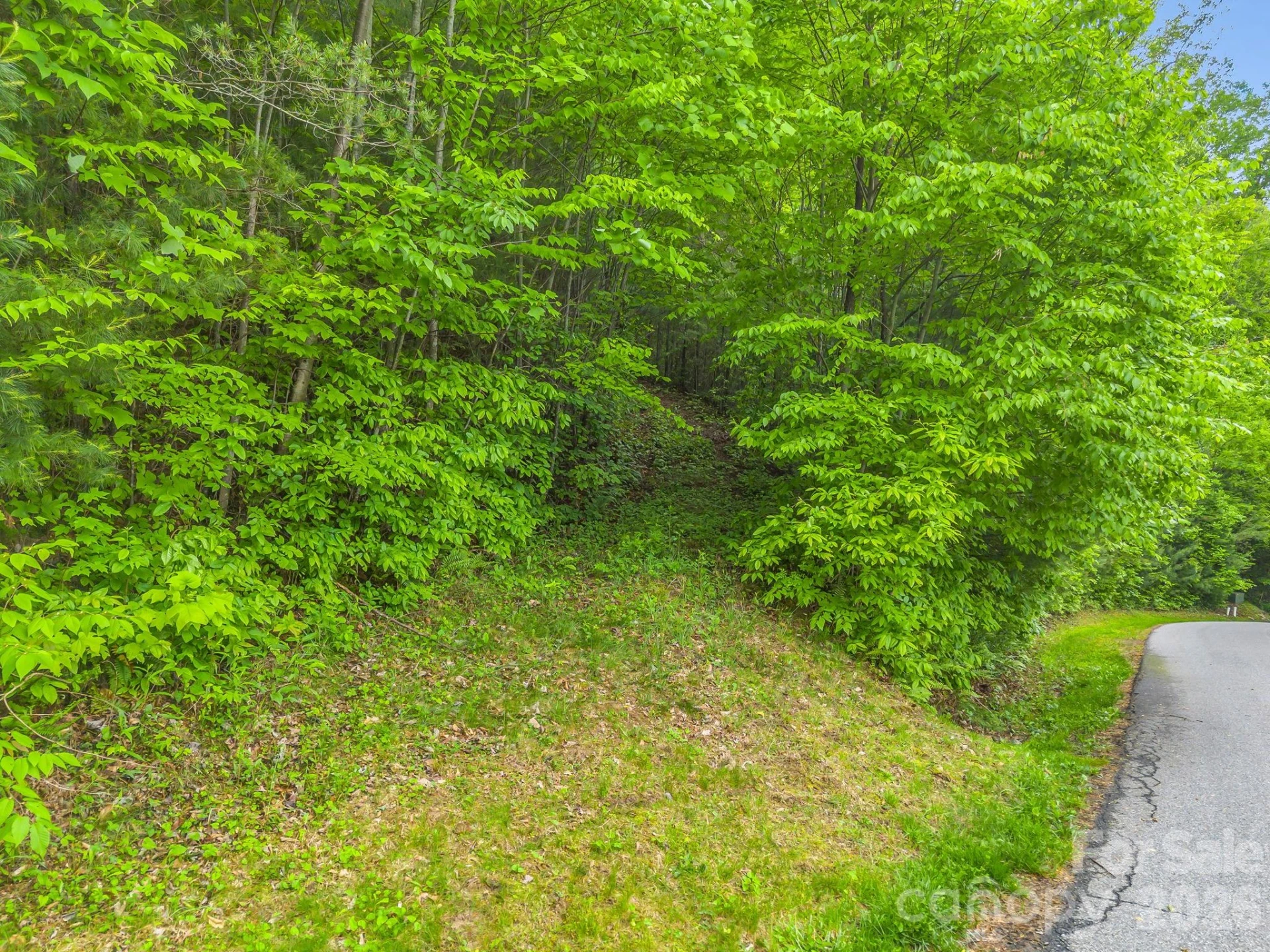 64 Longspur Lane - Photo 15