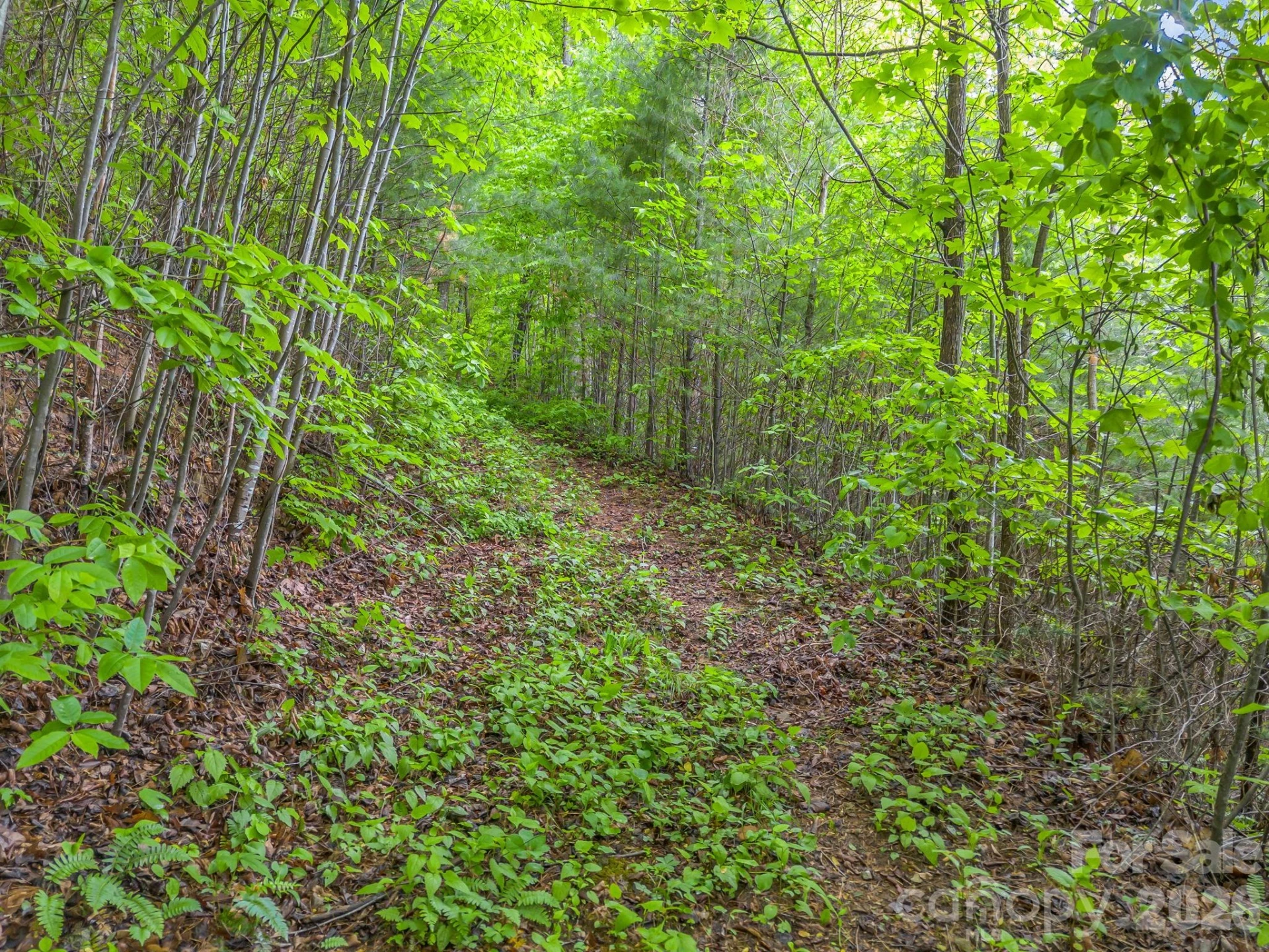 64 Longspur Lane - Photo 16