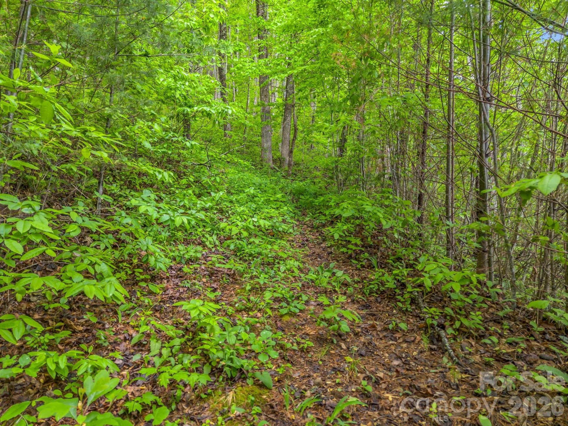 64 Longspur Lane - Photo 17
