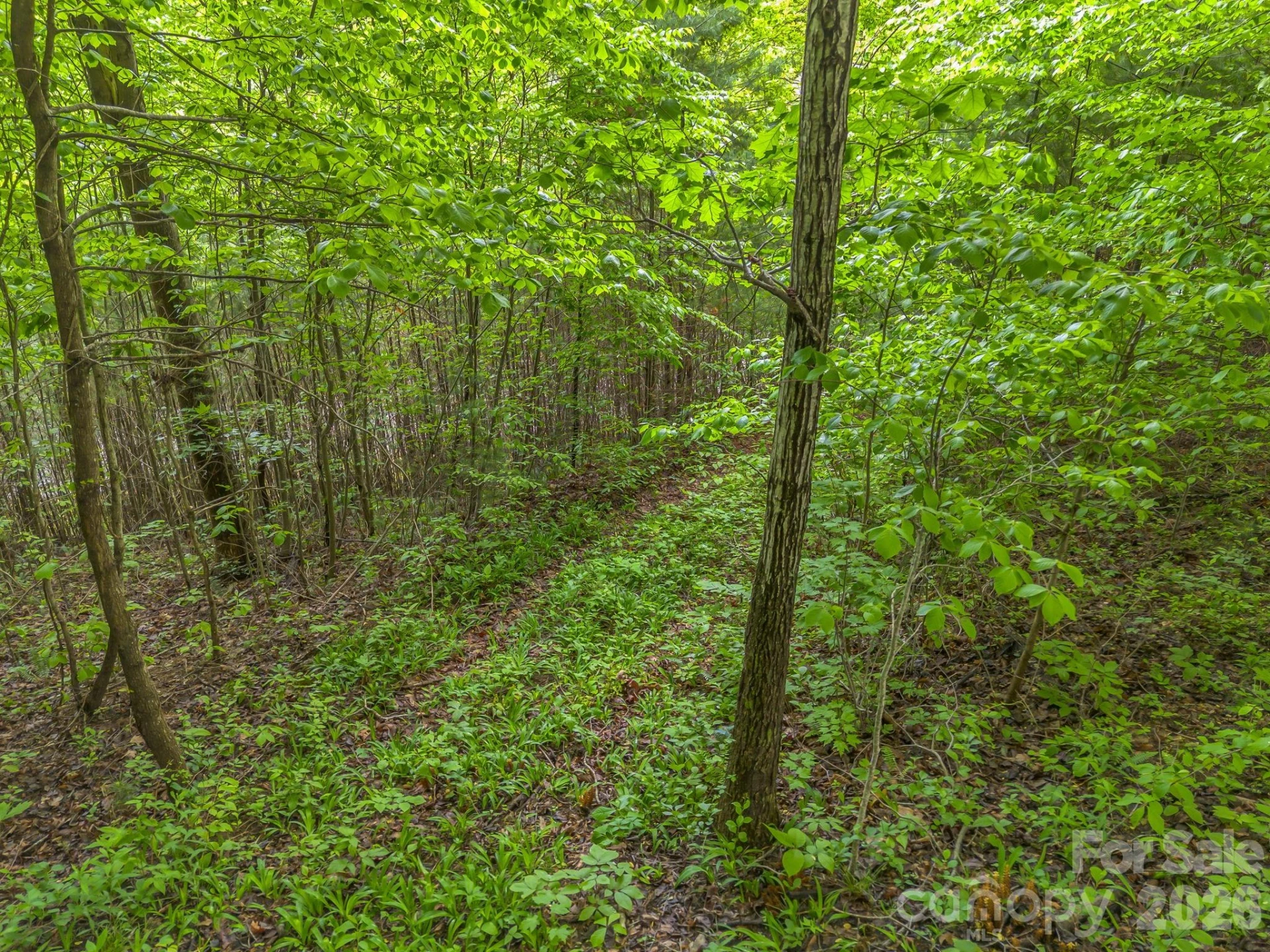 64 Longspur Lane - Photo 18