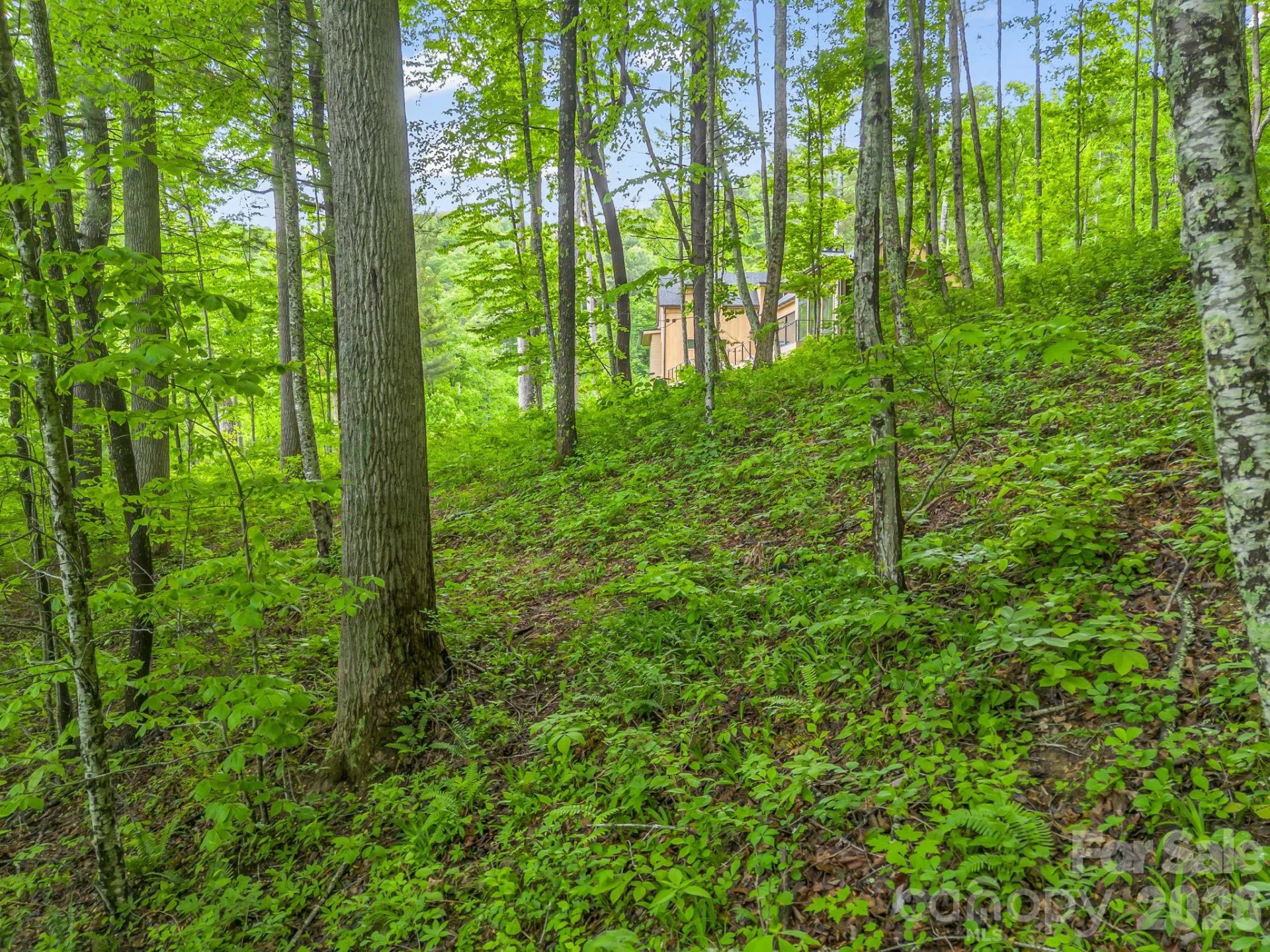 64 Longspur Lane - Photo 19
