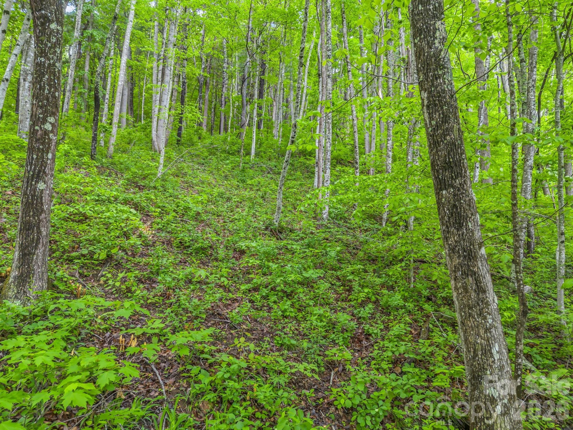 64 Longspur Lane - Photo 20