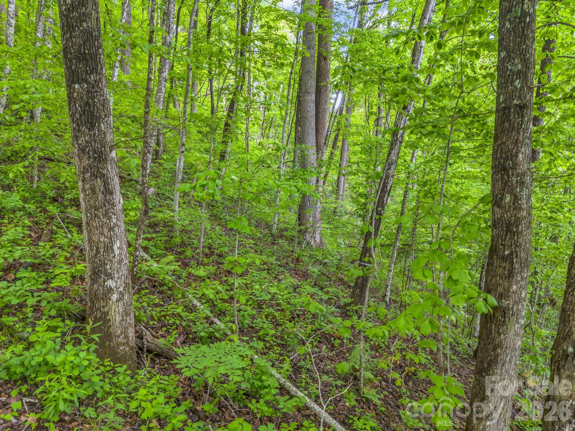 64 Longspur Lane - Photo 21