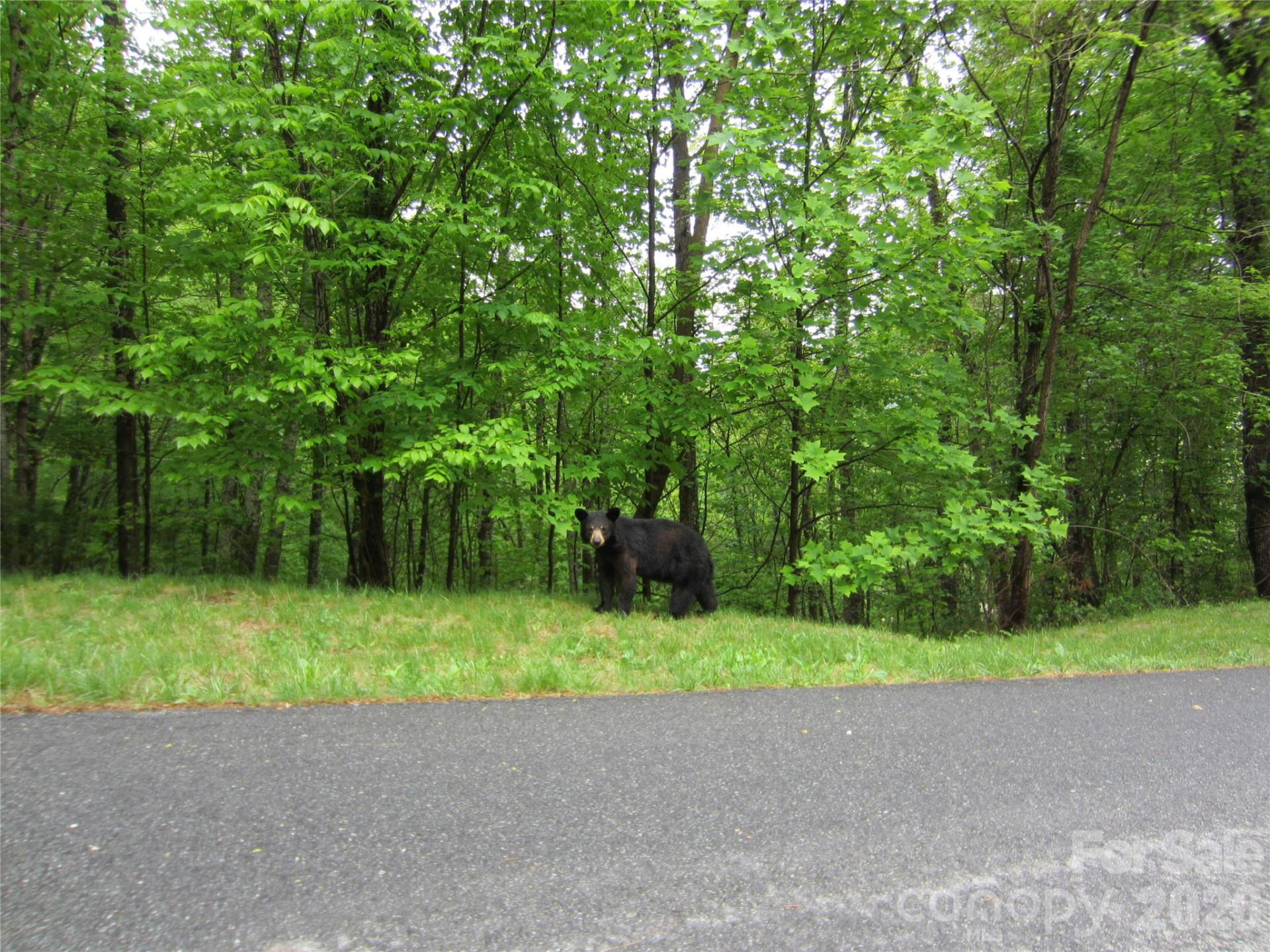 64 Longspur Lane - Photo 4