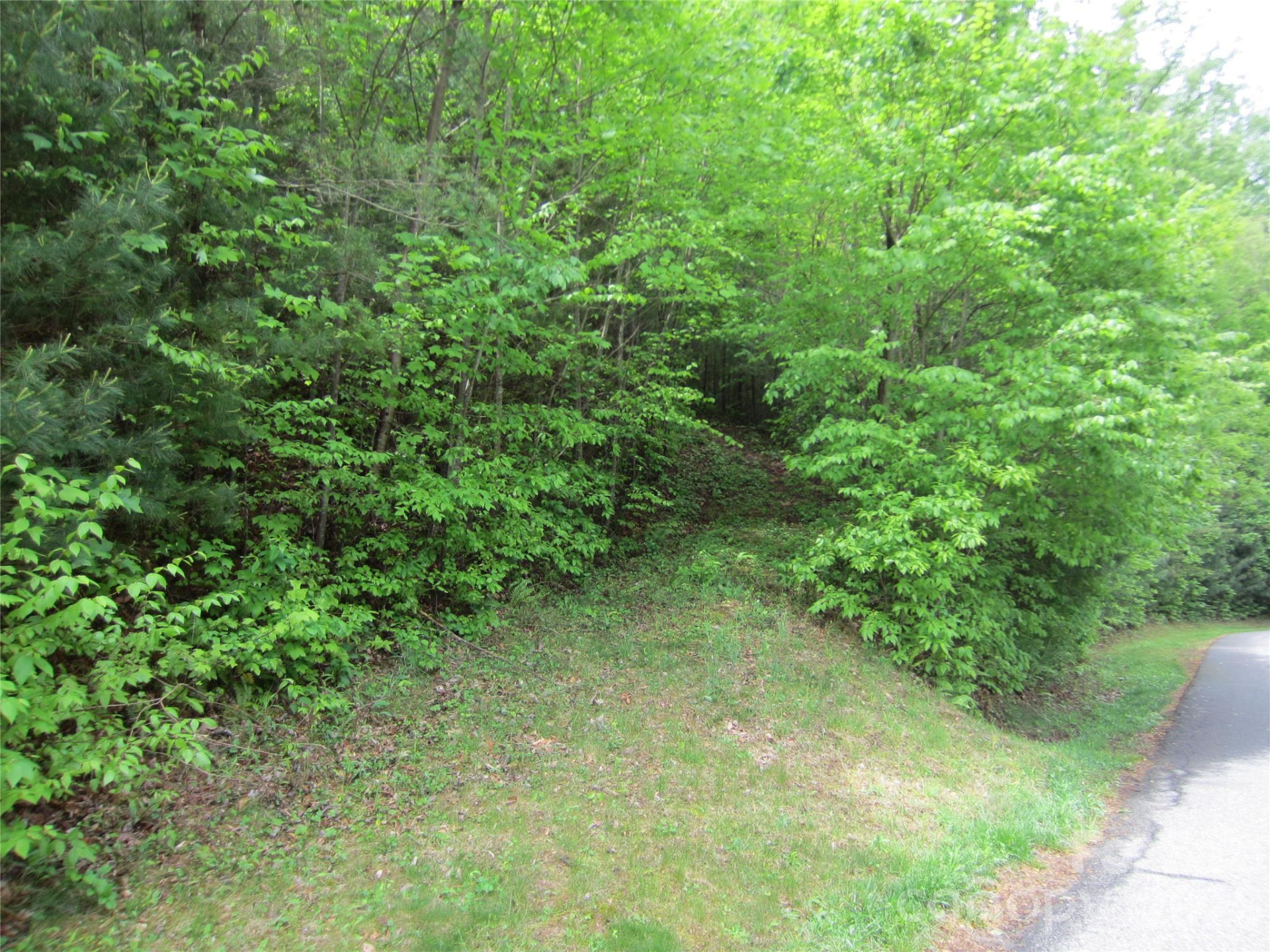 64 Longspur Lane - Photo 7