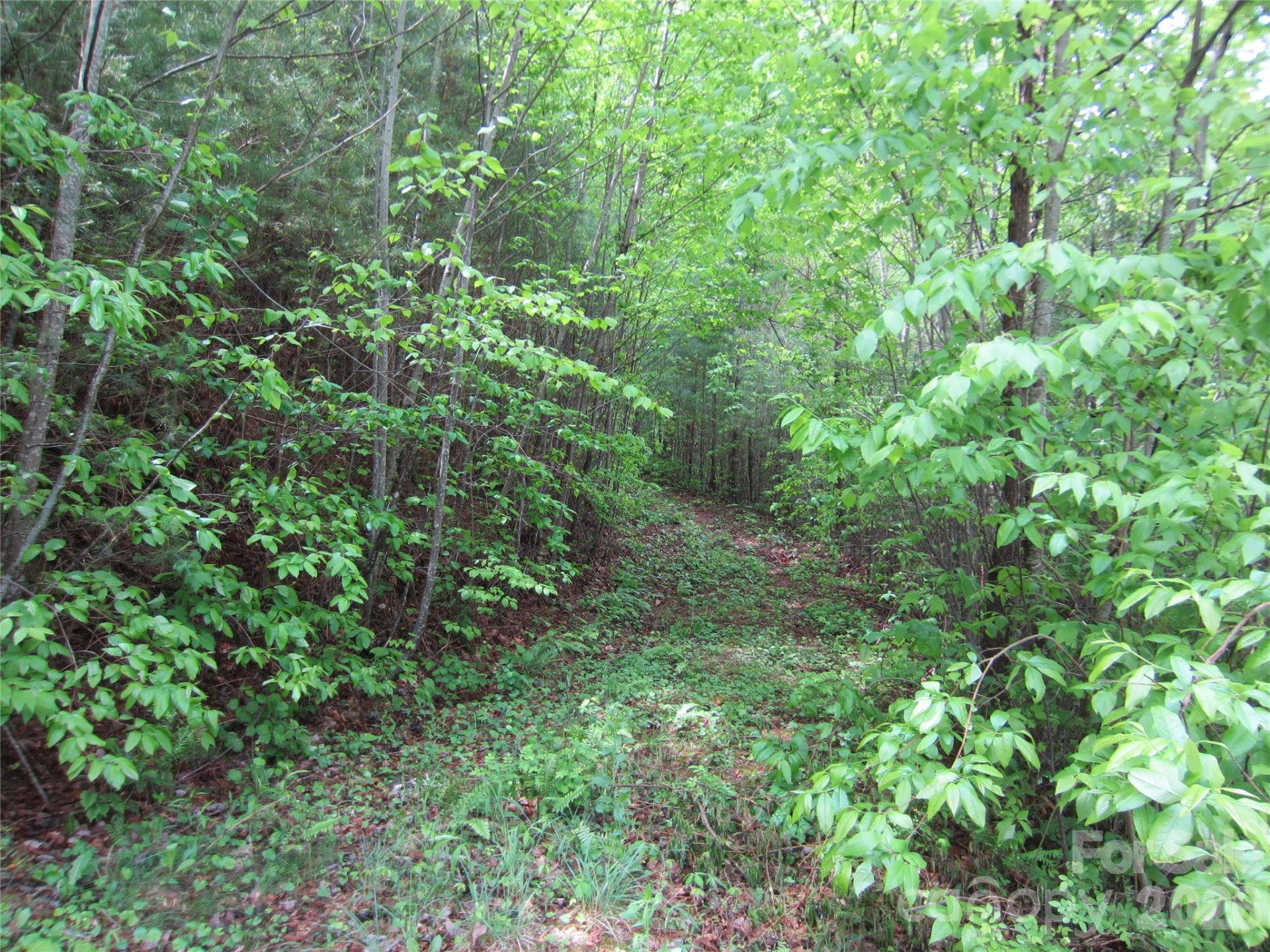 64 Longspur Lane - Photo 8