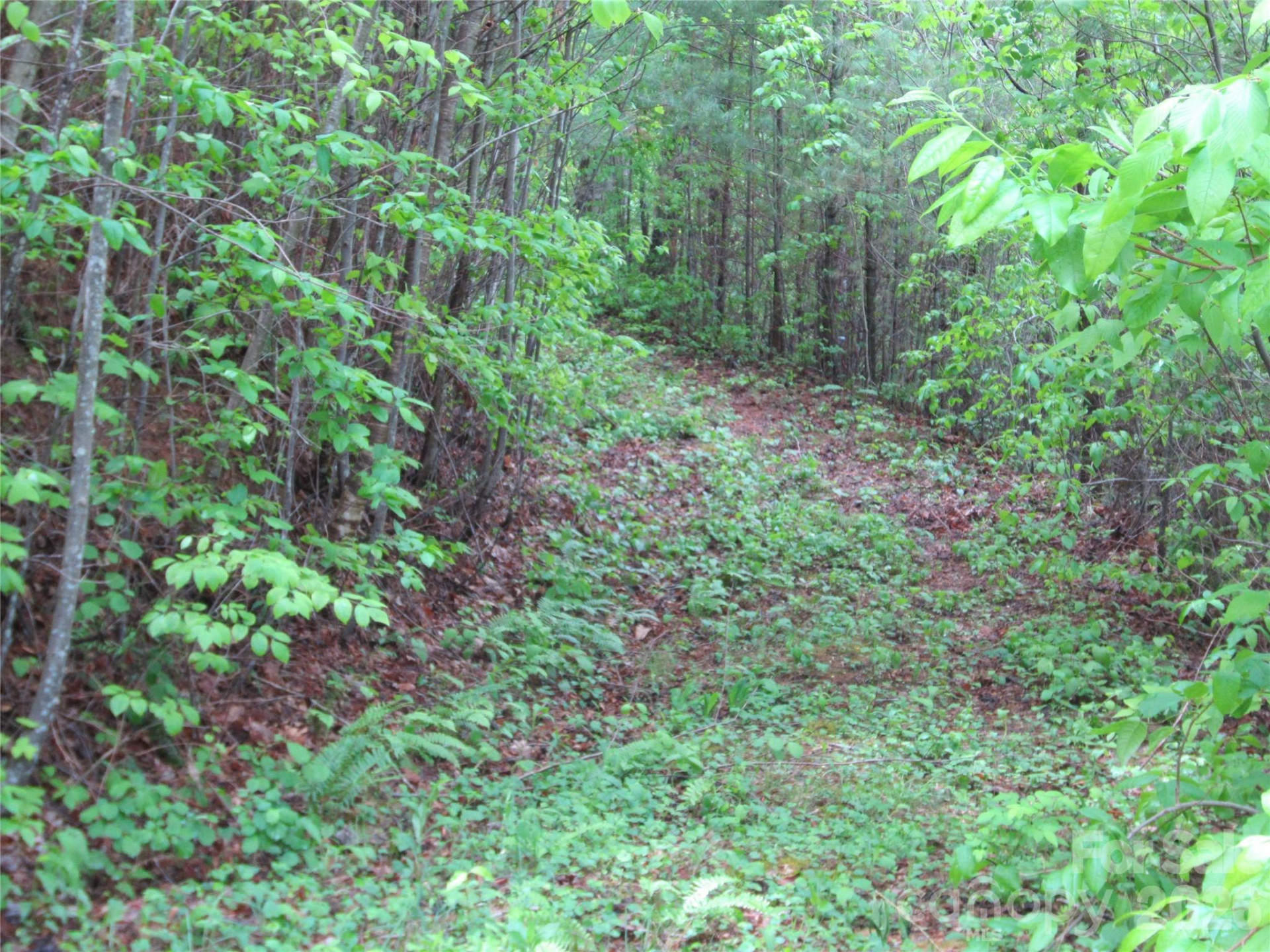 64 Longspur Lane - Photo 9