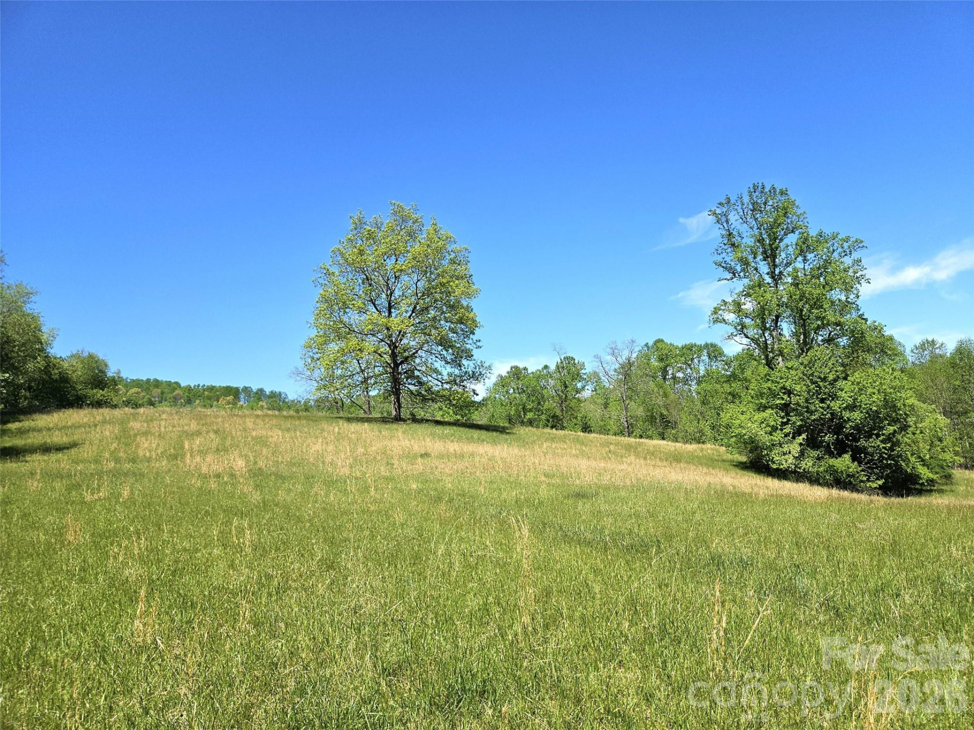 285 Mount Gilead Church Road - Photo 2