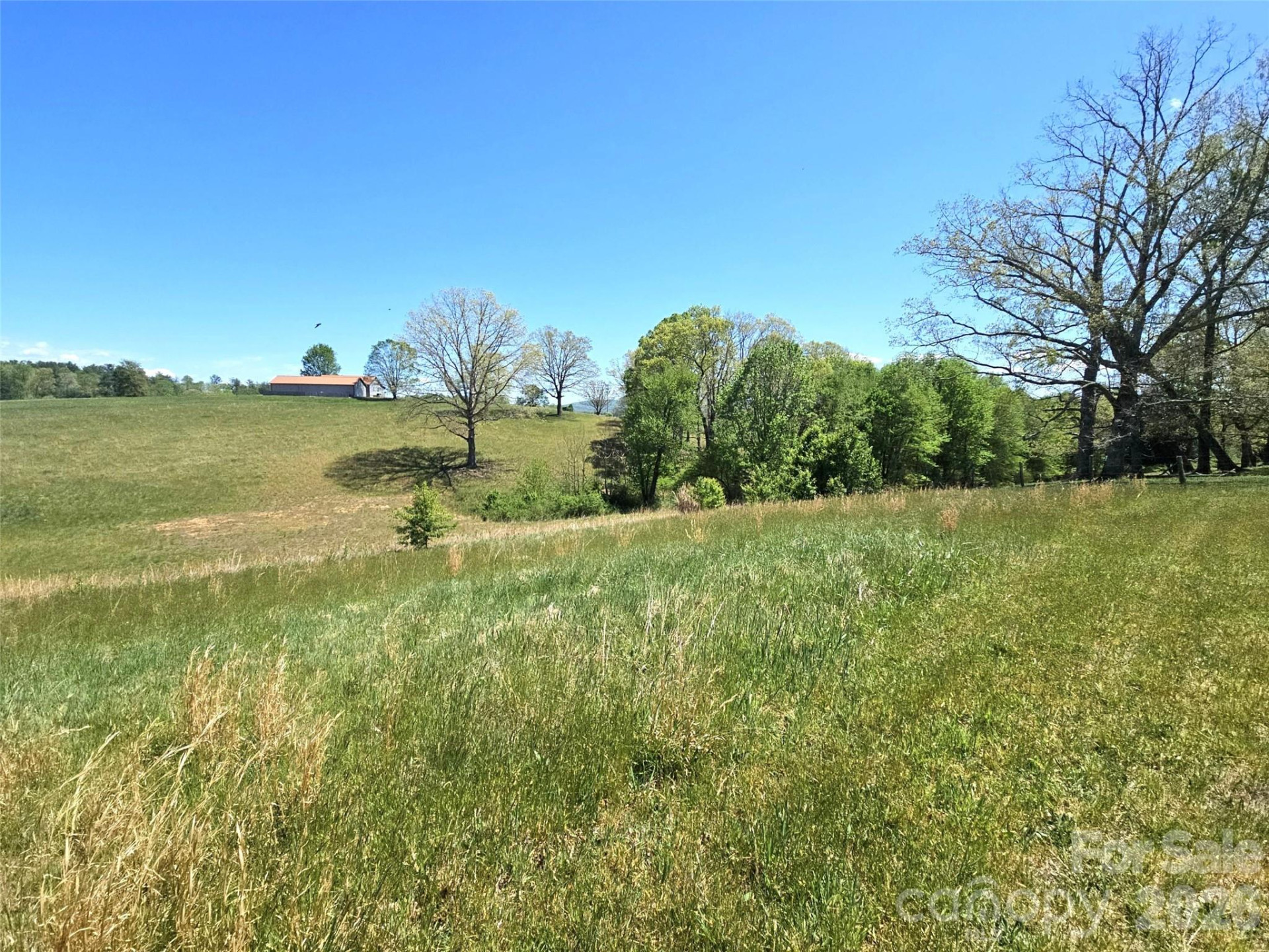 285 Mount Gilead Church Road - Photo 21