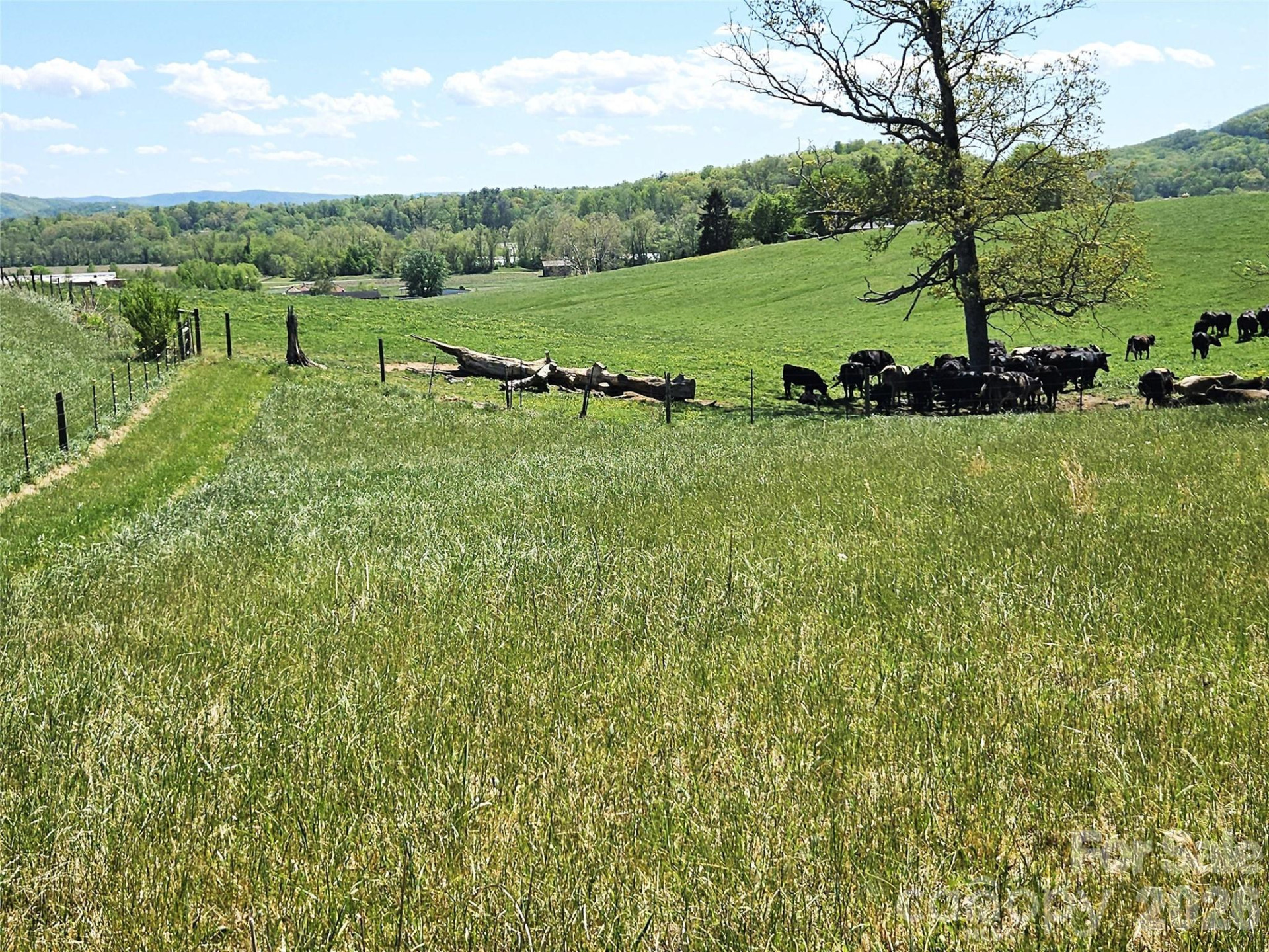 285 Mount Gilead Church Road - Photo 25